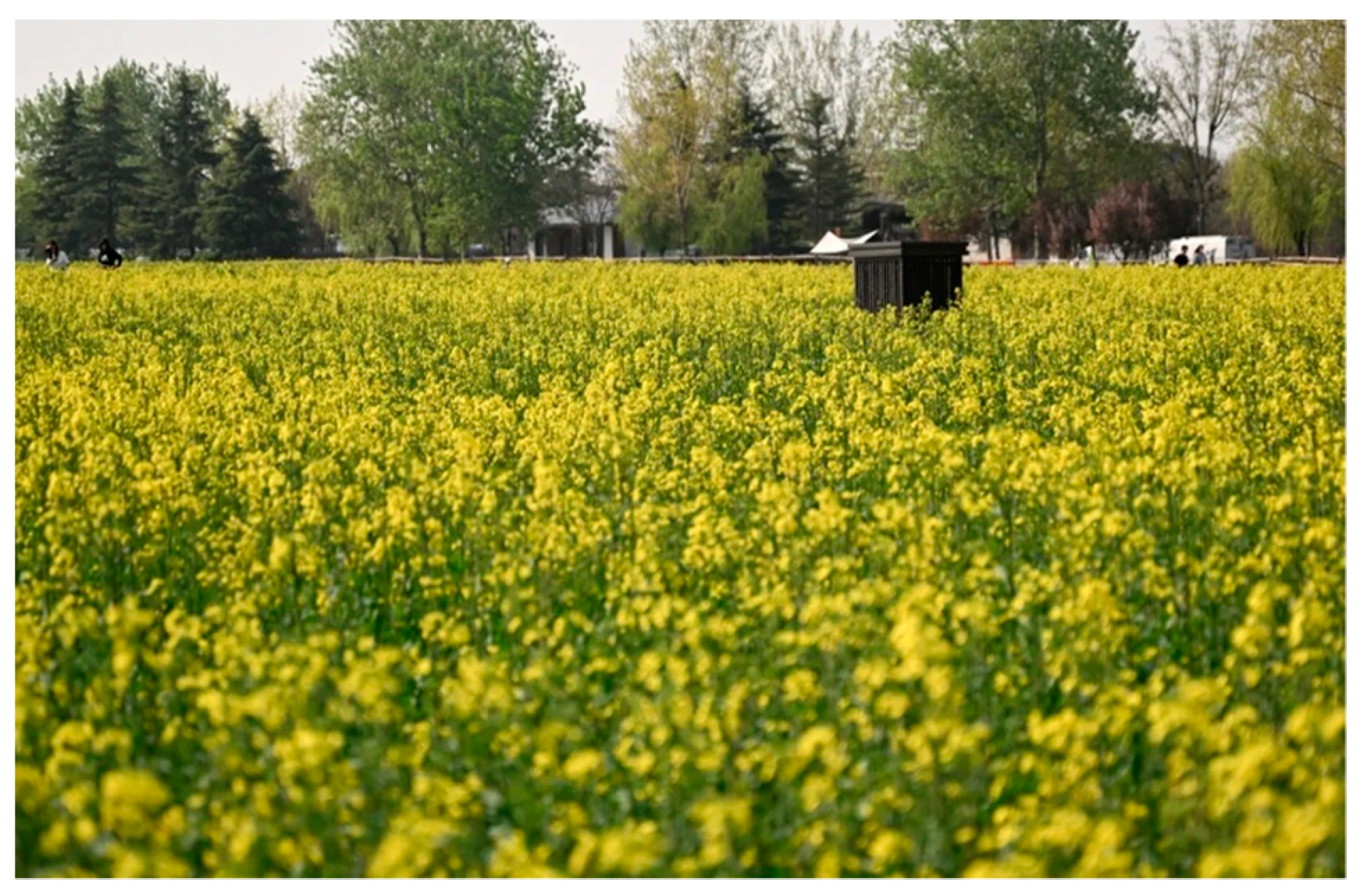 Sustainability 15 10846 g013