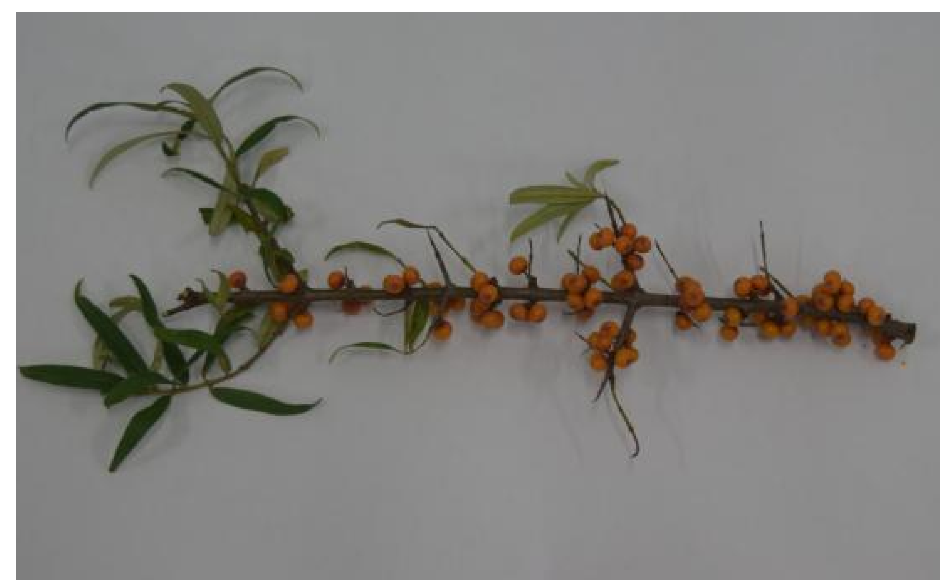 Sustainability 15 10872 g004 550