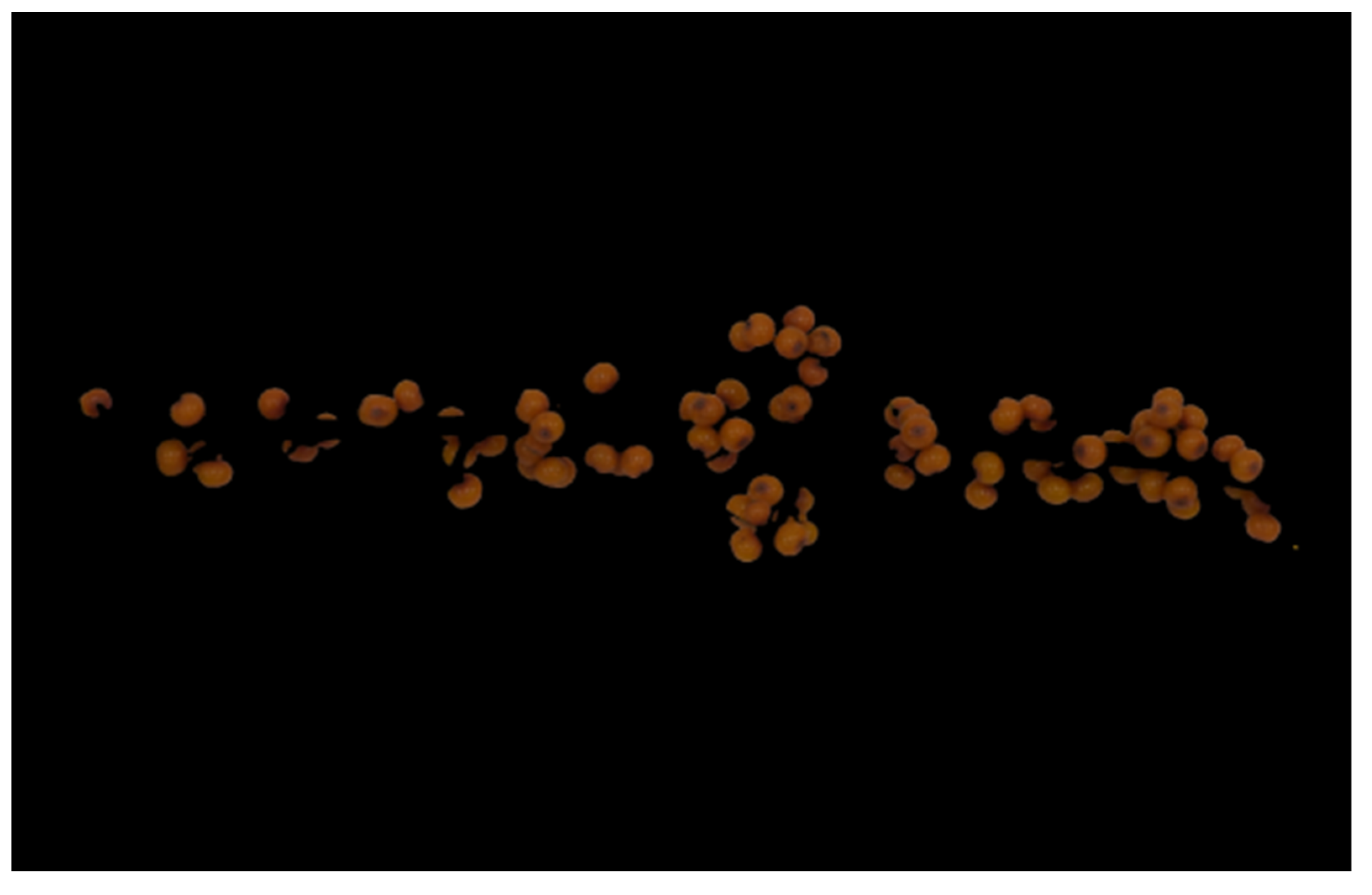 Sustainability 15 10872 g005 550