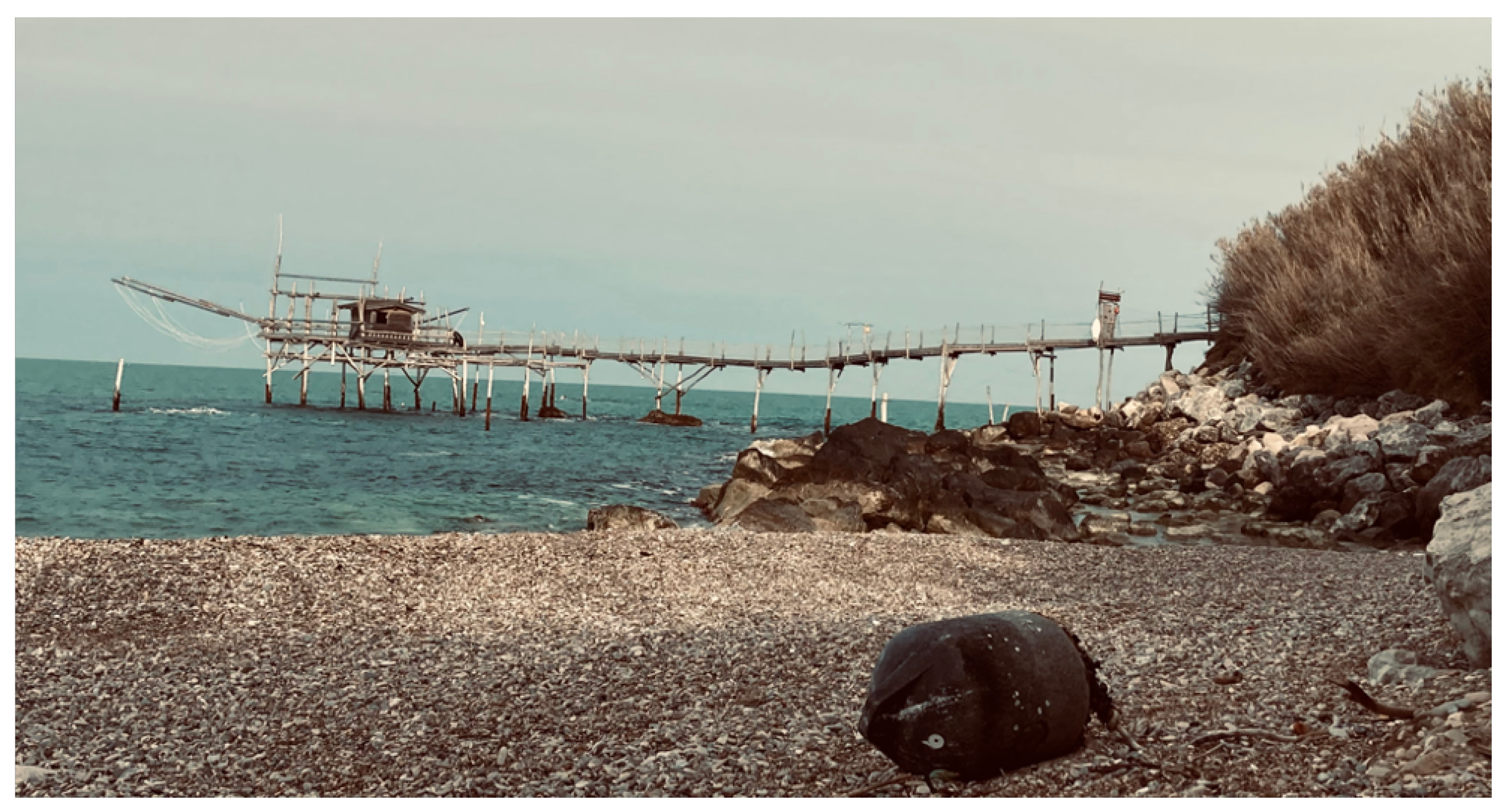 Sustainability 15 10880 g002 Sustainability 15 10880 g002