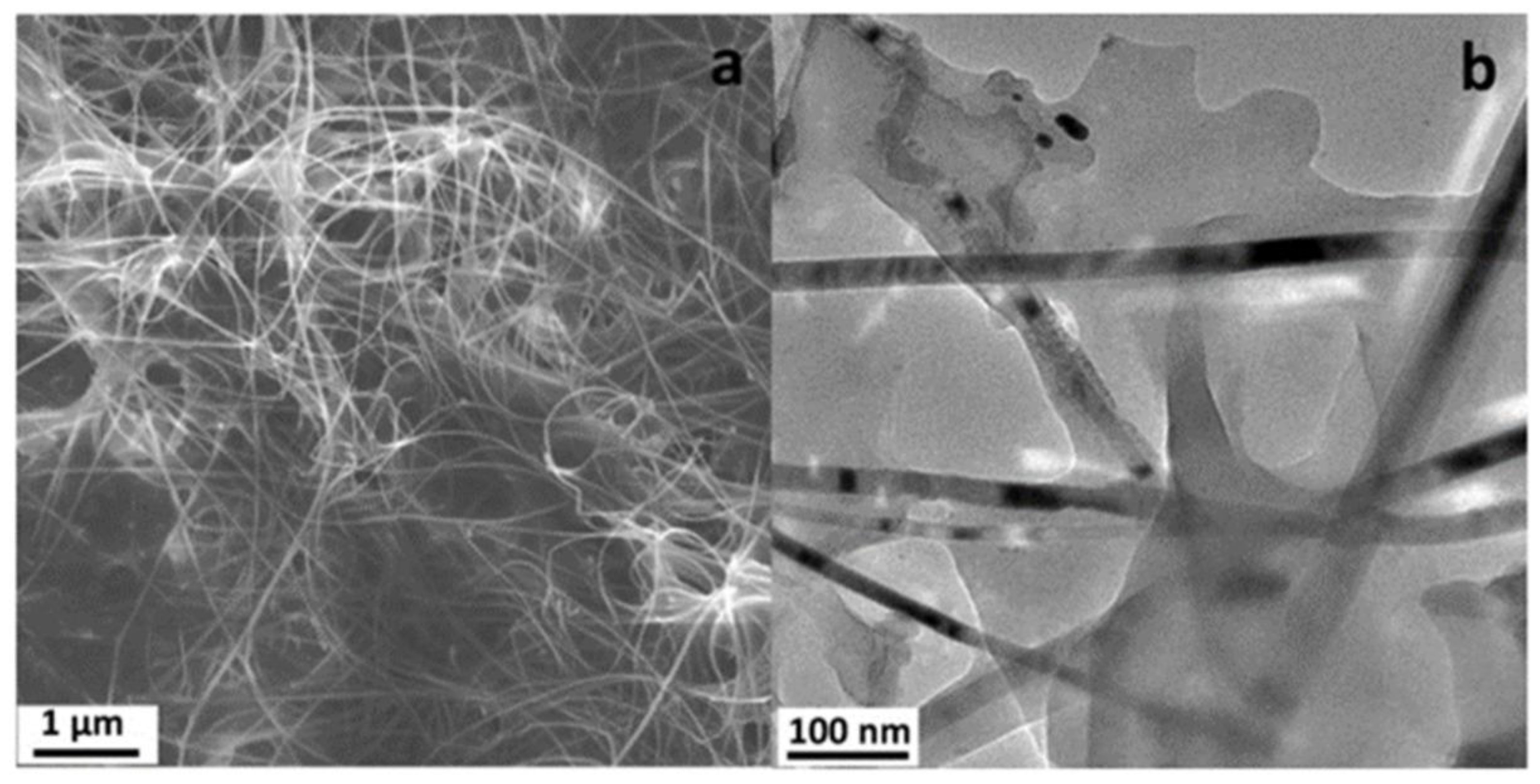 Sustainability 15 10891 g001 Sustainability 15 10891 g001