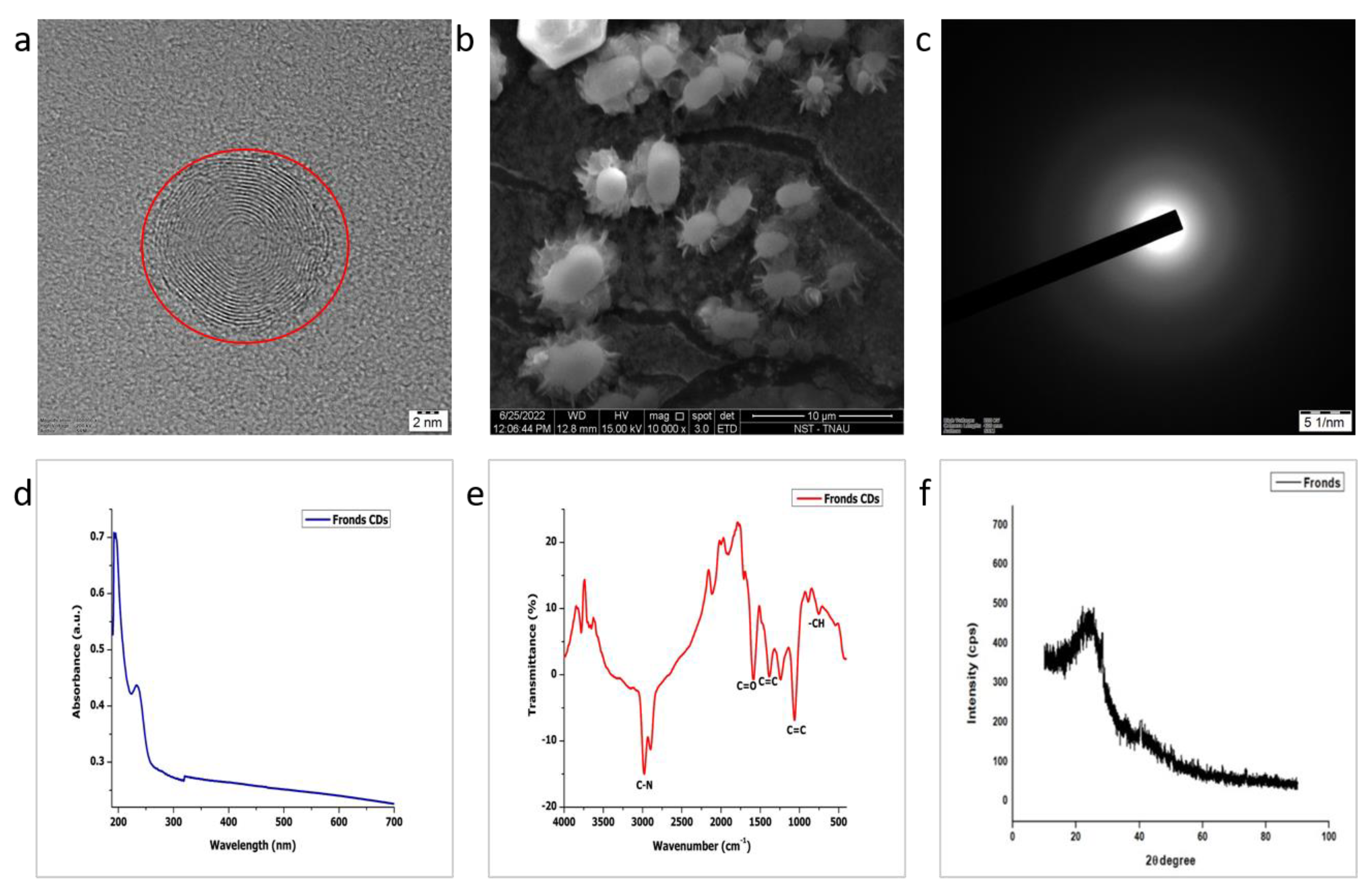Sustainability 15 10924 g001