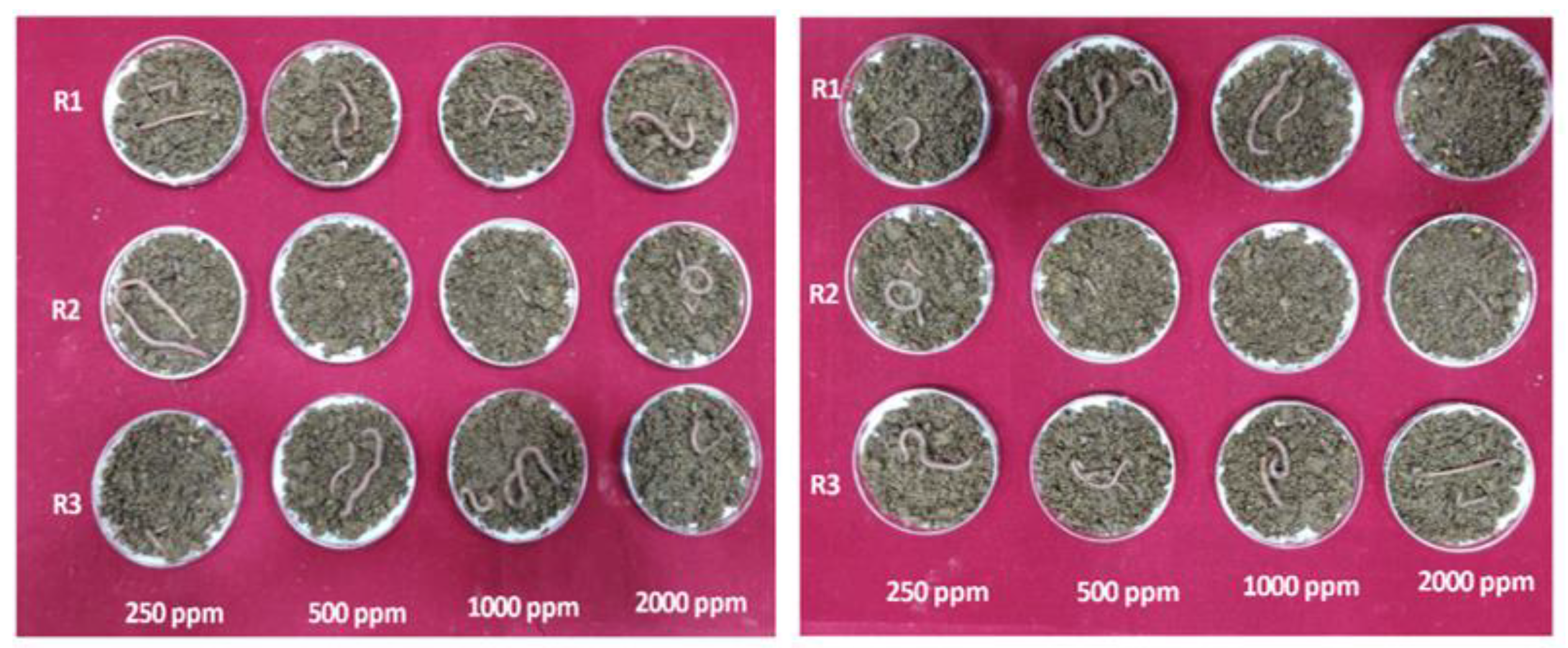 Sustainability 15 10924 g007