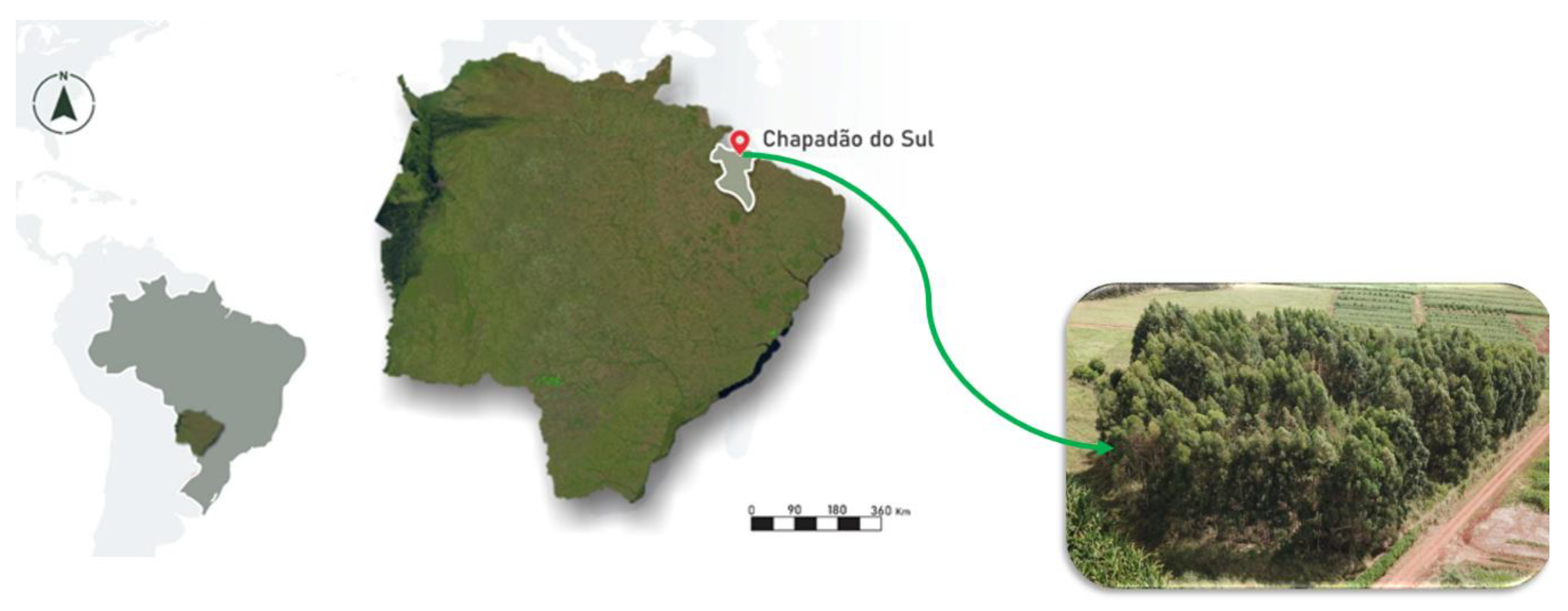 Sustainability 15 10968 g001