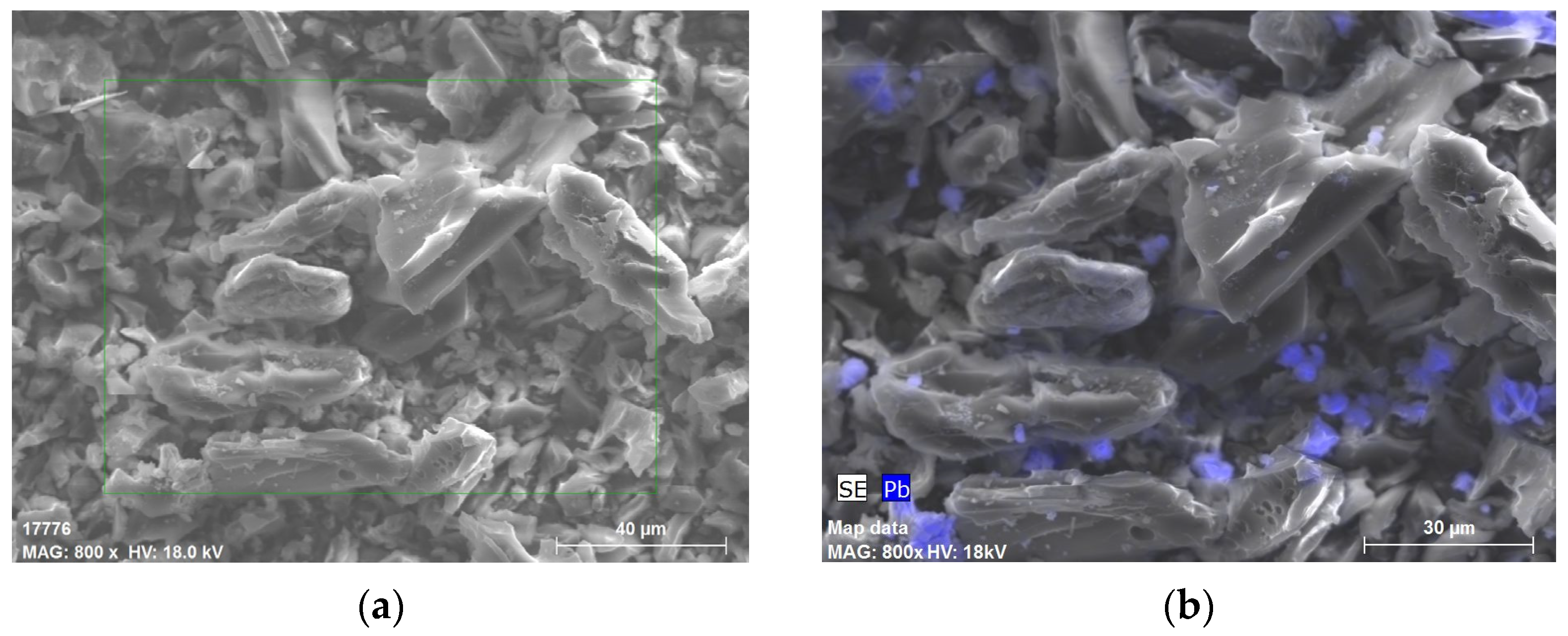 Sustainability 15 11007 g004