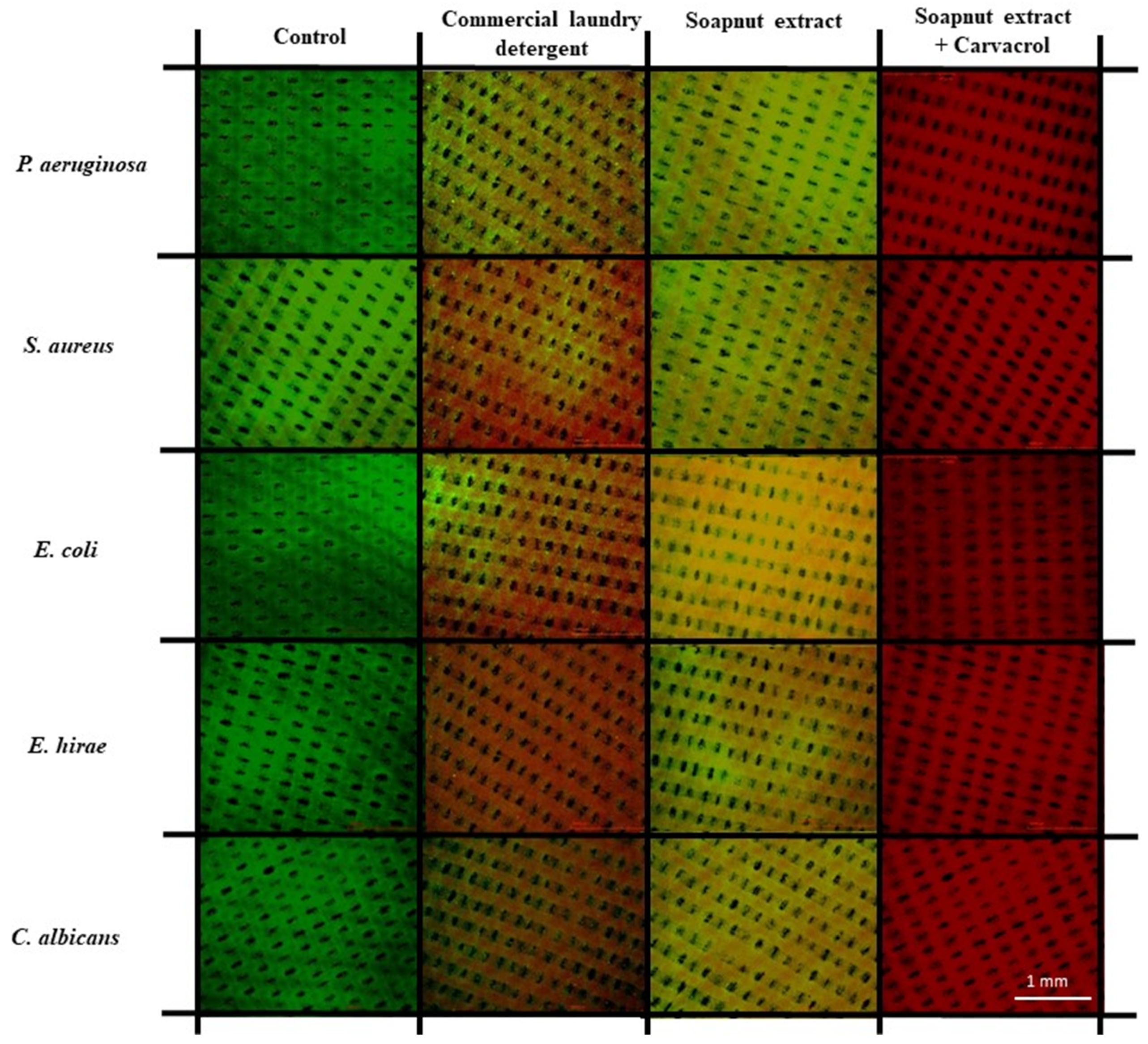 Sustainability 15 11029 g004 Sustainability 15 11029 g004