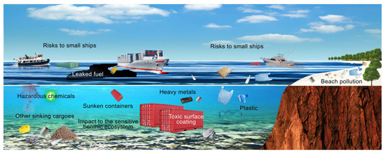 Marine Accidents in the Brazilian Amazon: Potential Risks to the