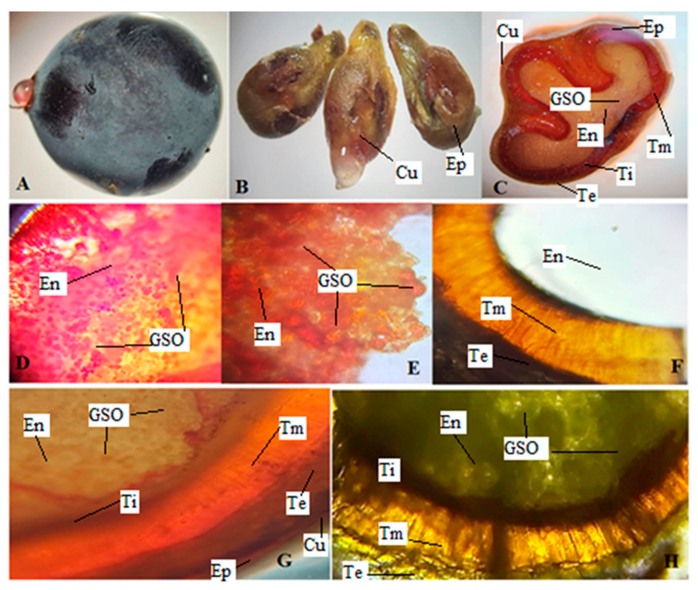 Sustainability 15 11037 g002 Sustainability 15 11037 g002