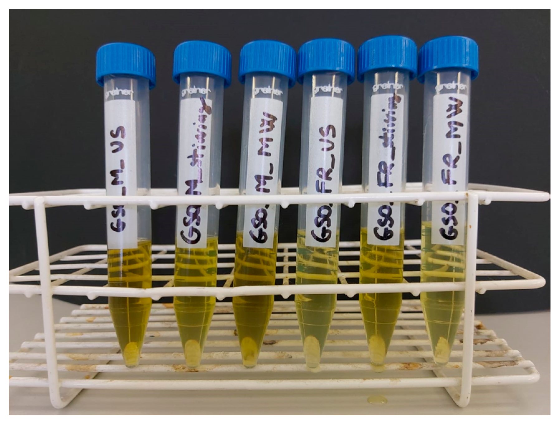 Sustainability 15 11037 g003 Sustainability 15 11037 g003