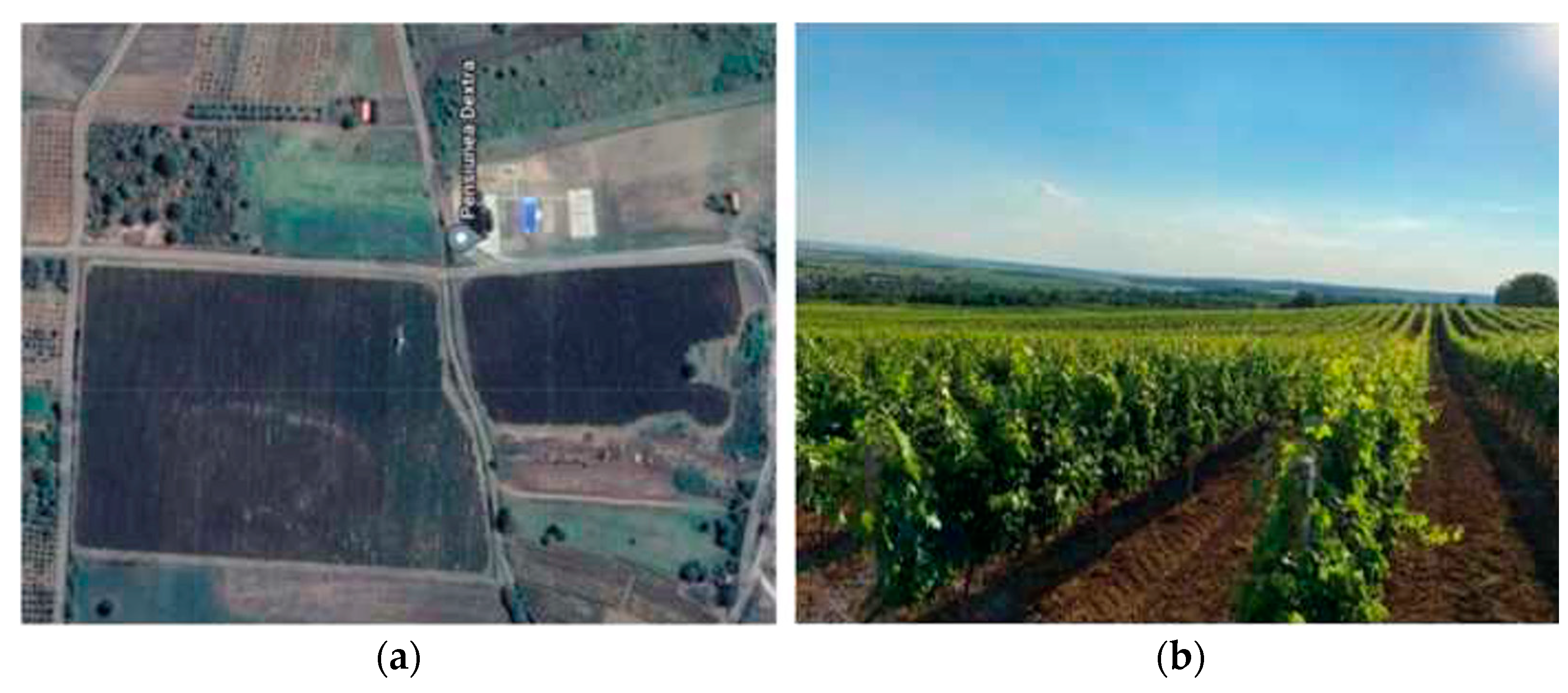 Sustainability 15 11037 g006 Sustainability 15 11037 g006