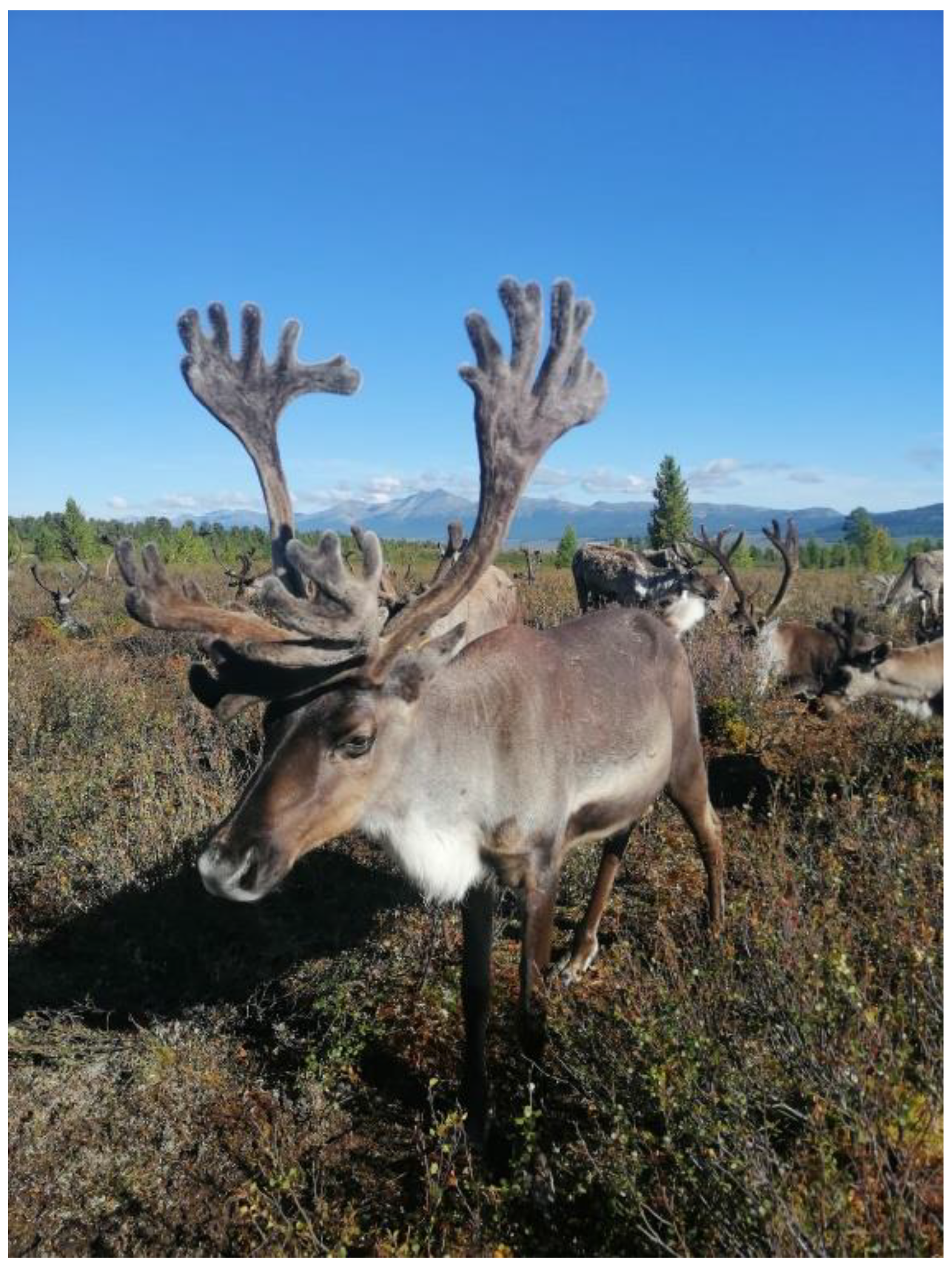 Sustainability 15 11087 g004 Sustainability 15 11087 g004