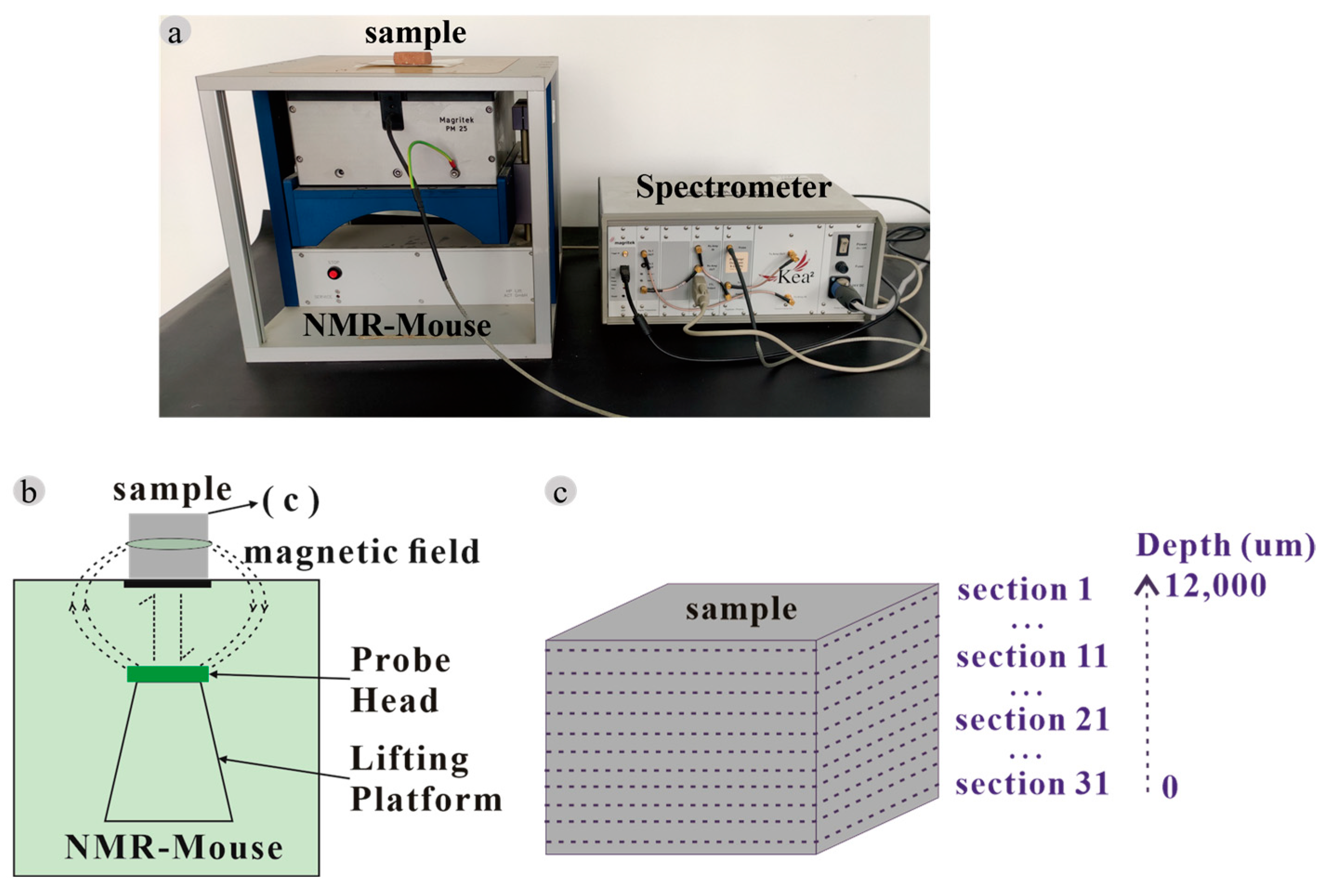 Sustainability Free FullText Nondestructive Measurement of the