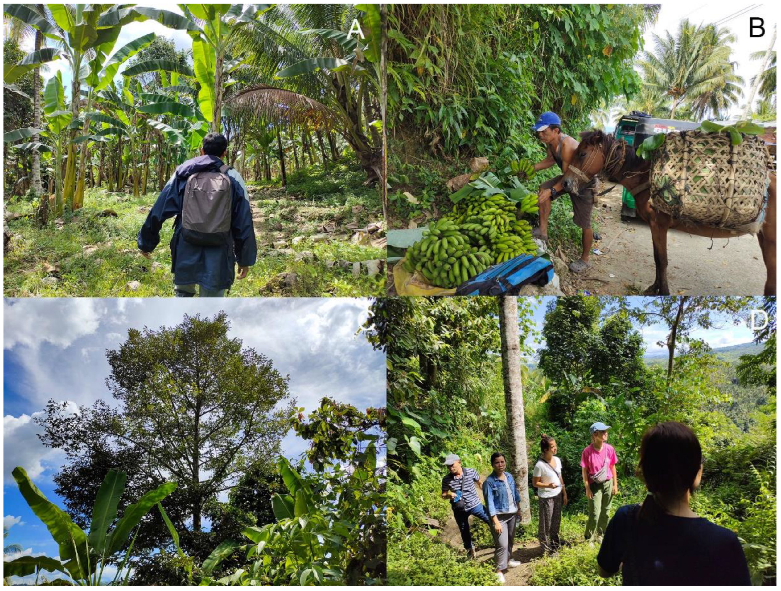 Sustainability 15 11182 g005 Sustainability 15 11182 g005