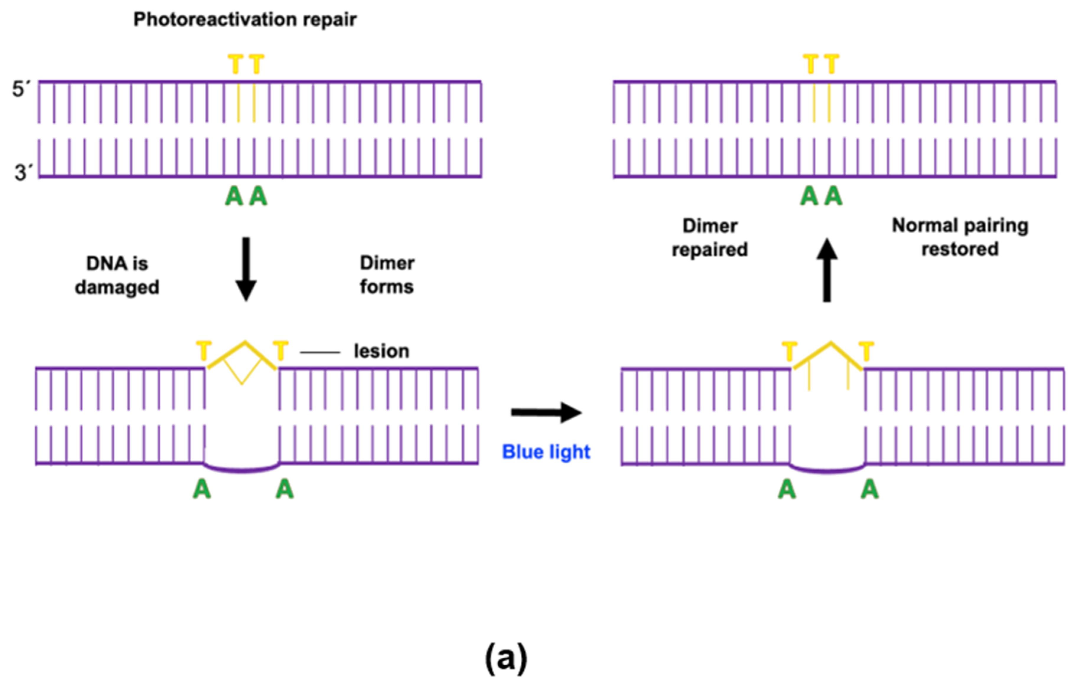 Sustainability 15 11262 g003a