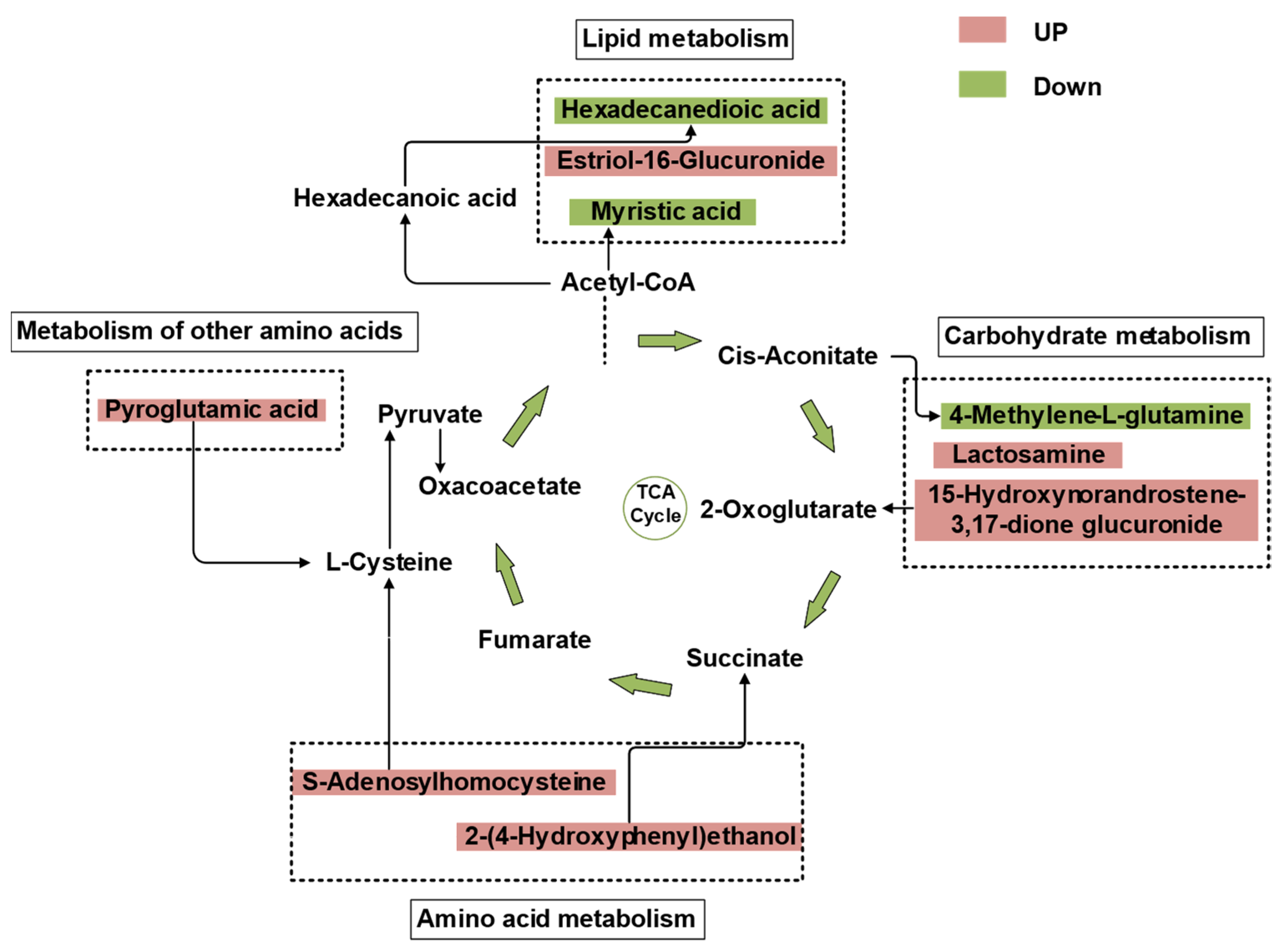Sustainability 15 11263 g004