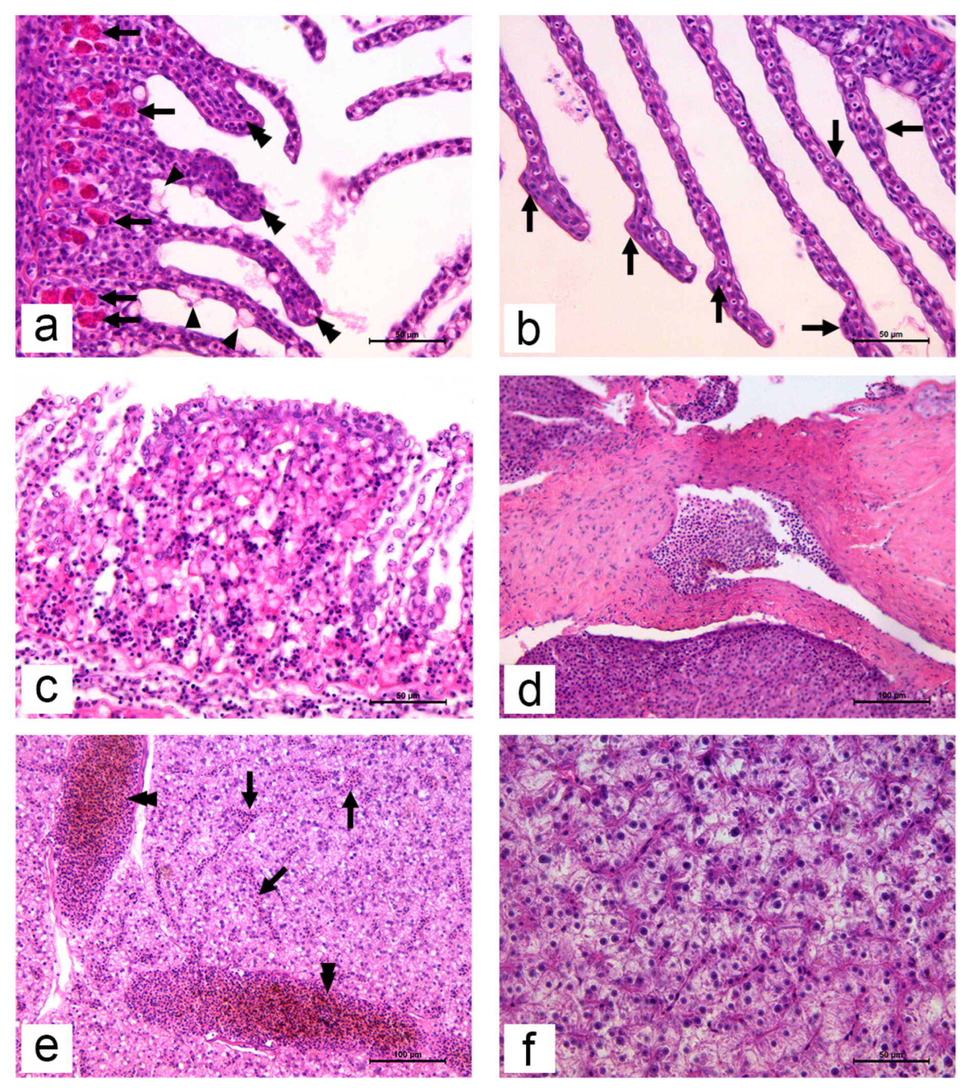 Sustainability 15 11321 g001
