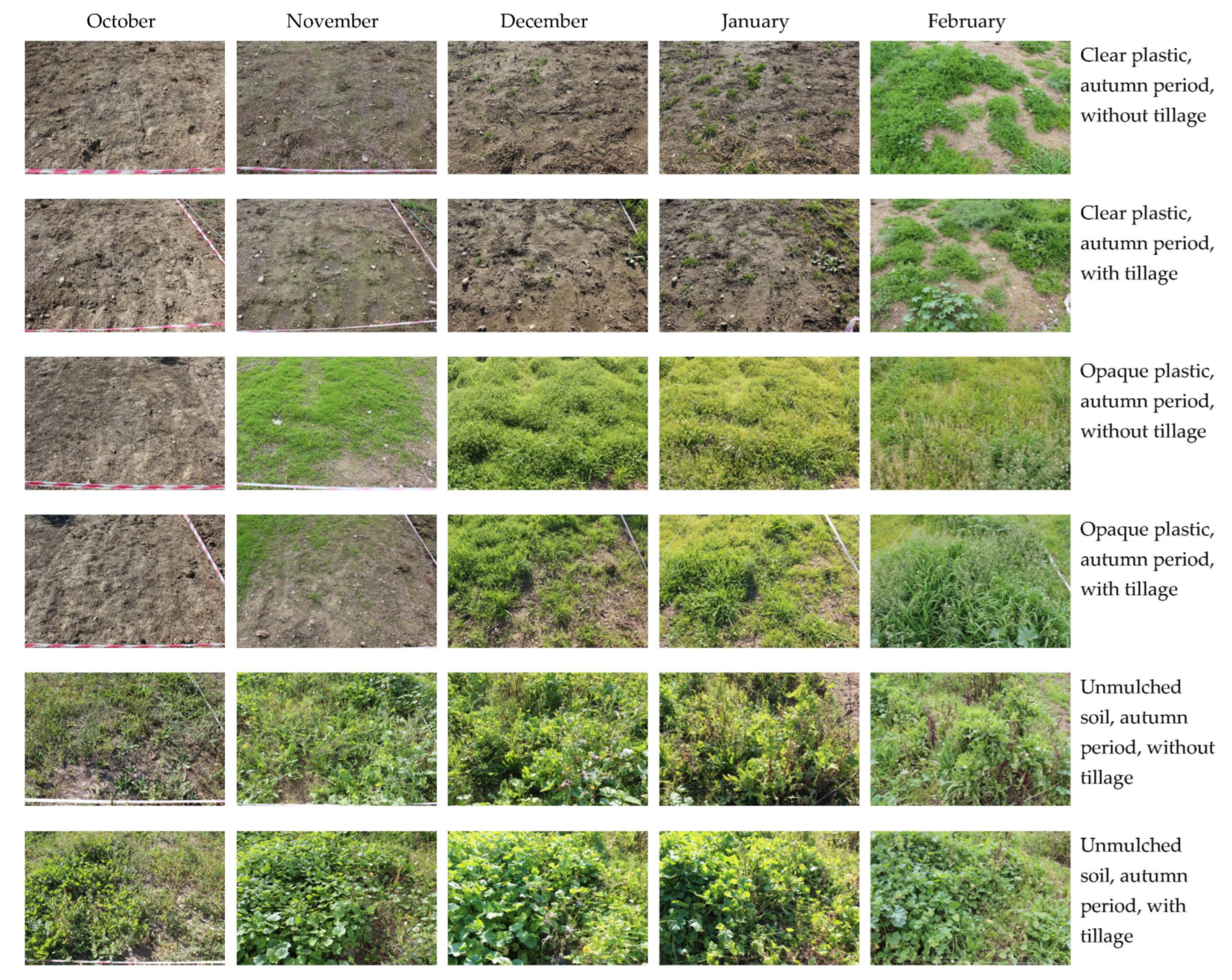 Sustainability 15 11324 g008