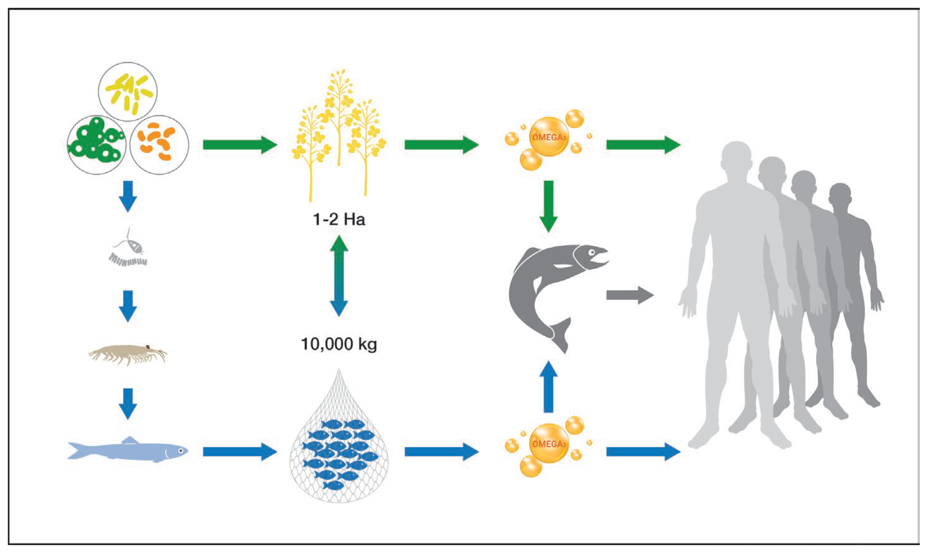 Sustainability 15 11327 g002