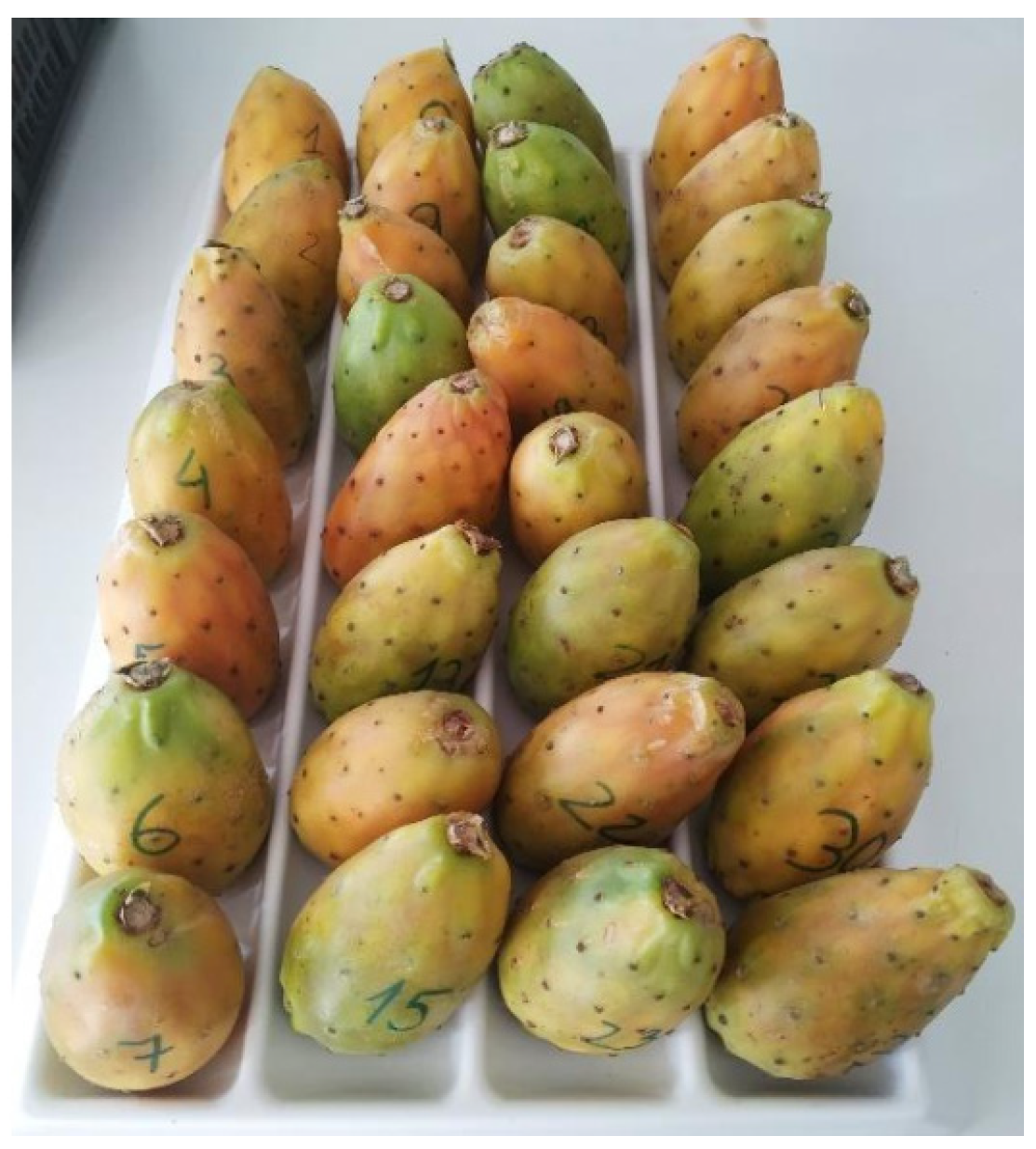 Sustainability 15 11334 g001