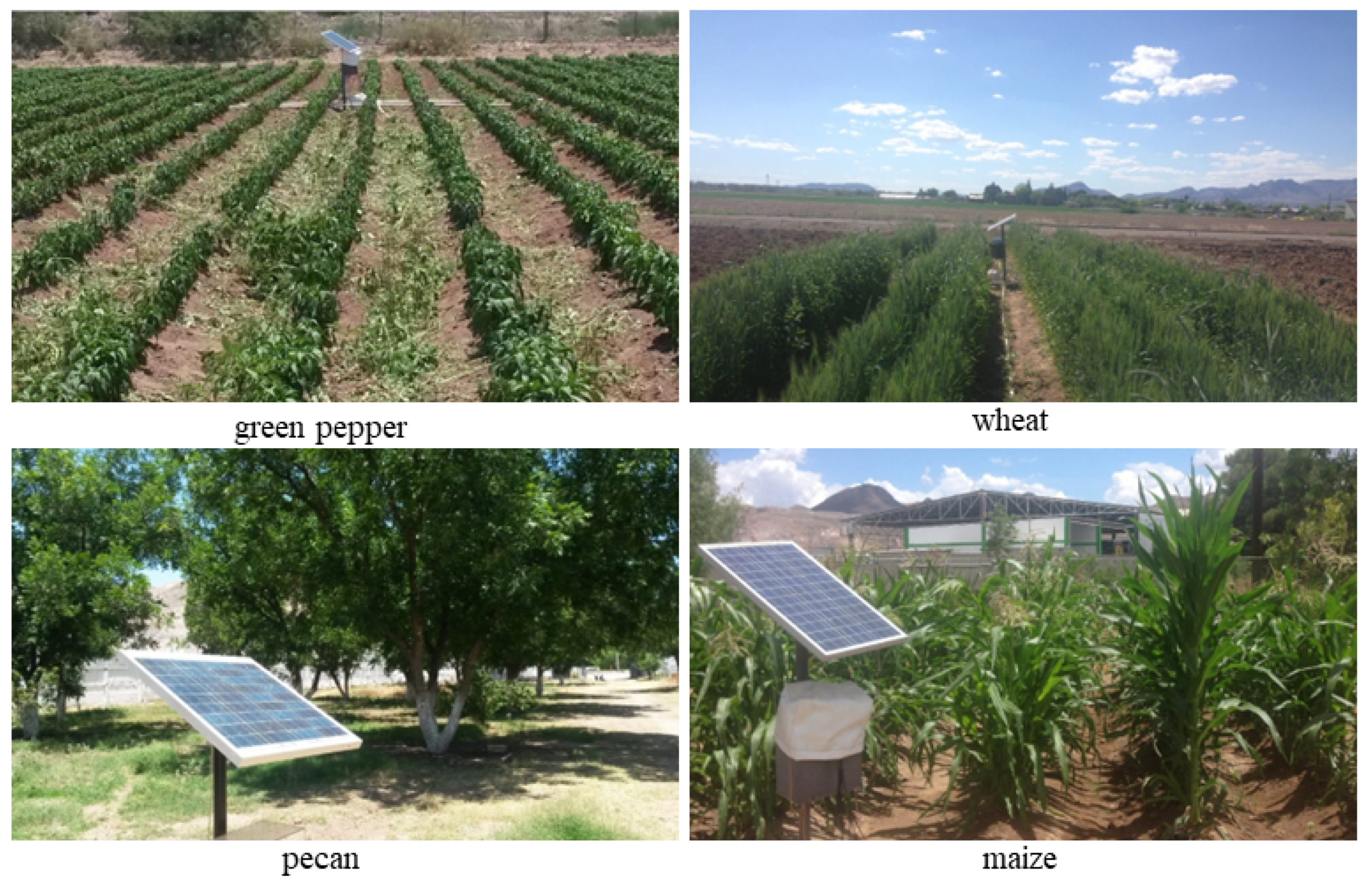 Sustainability 15 11337 g003 Sustainability 15 11337 g003