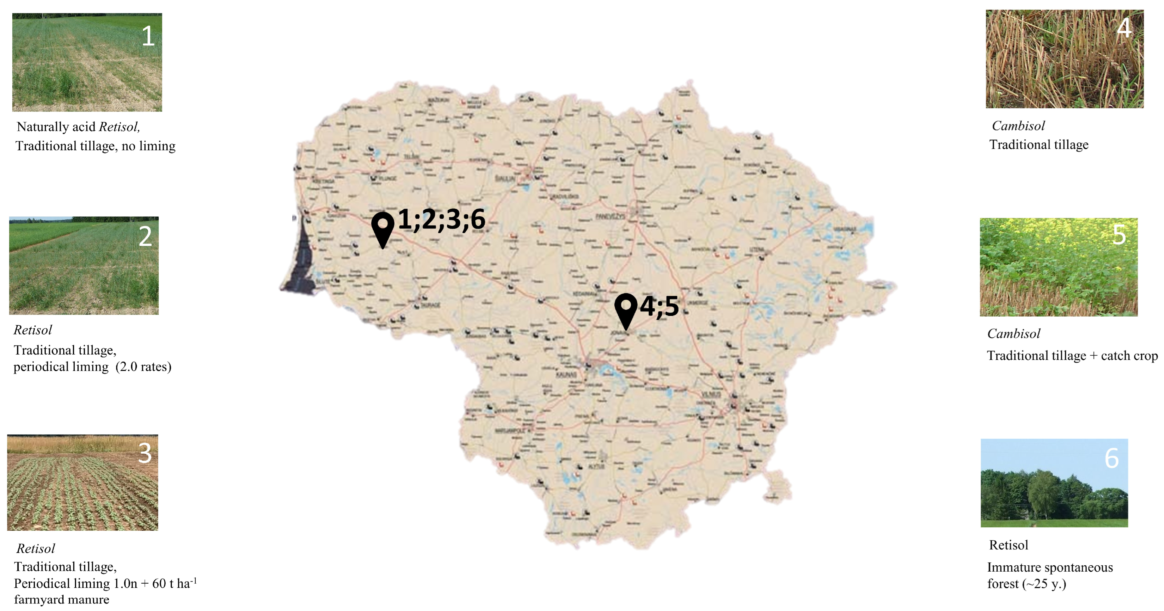 Sustainability 15 11366 g001 Sustainability 15 11366 g001