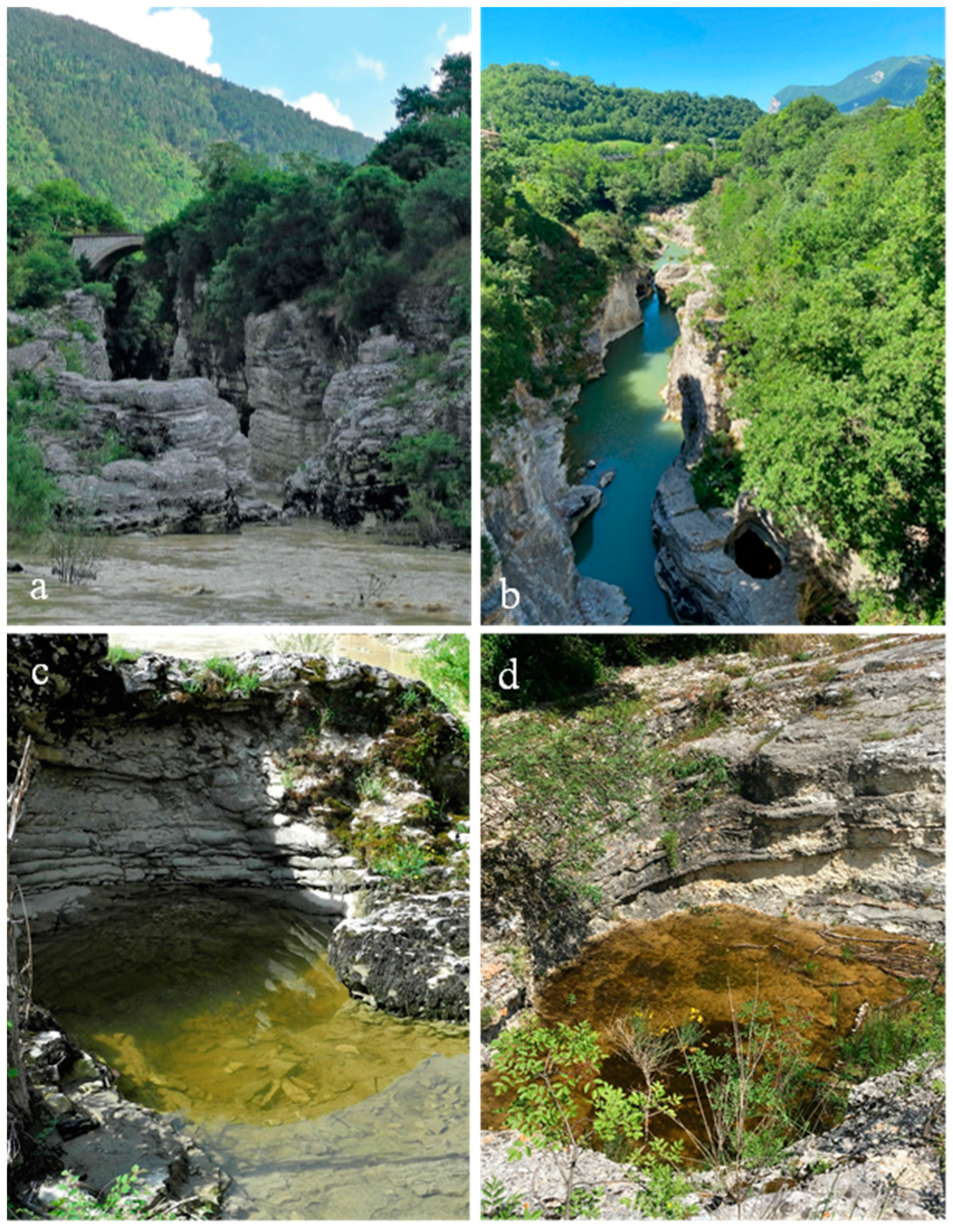 Sustainability 15 11382 g004