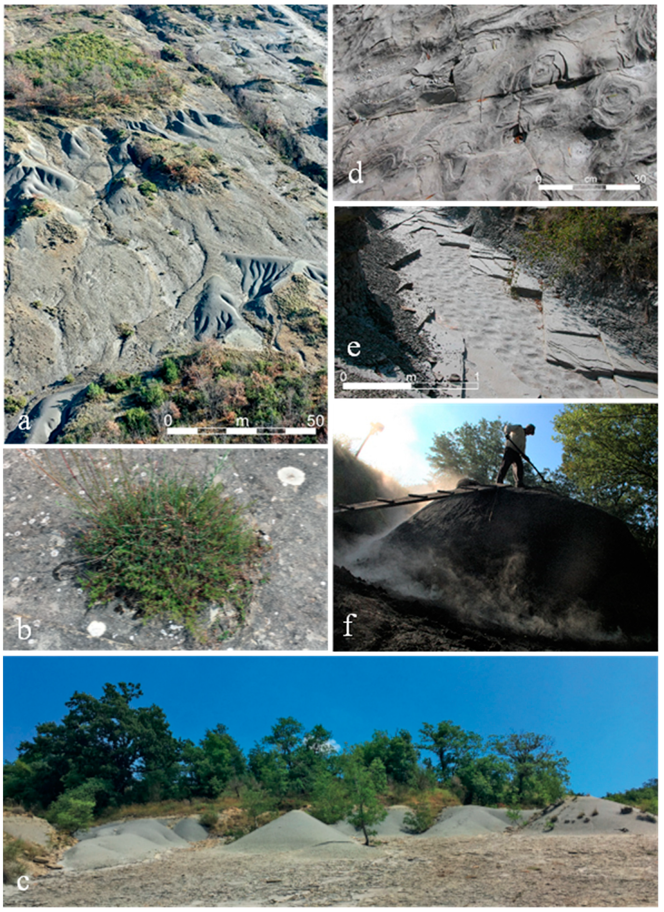 Sustainability 15 11382 g006