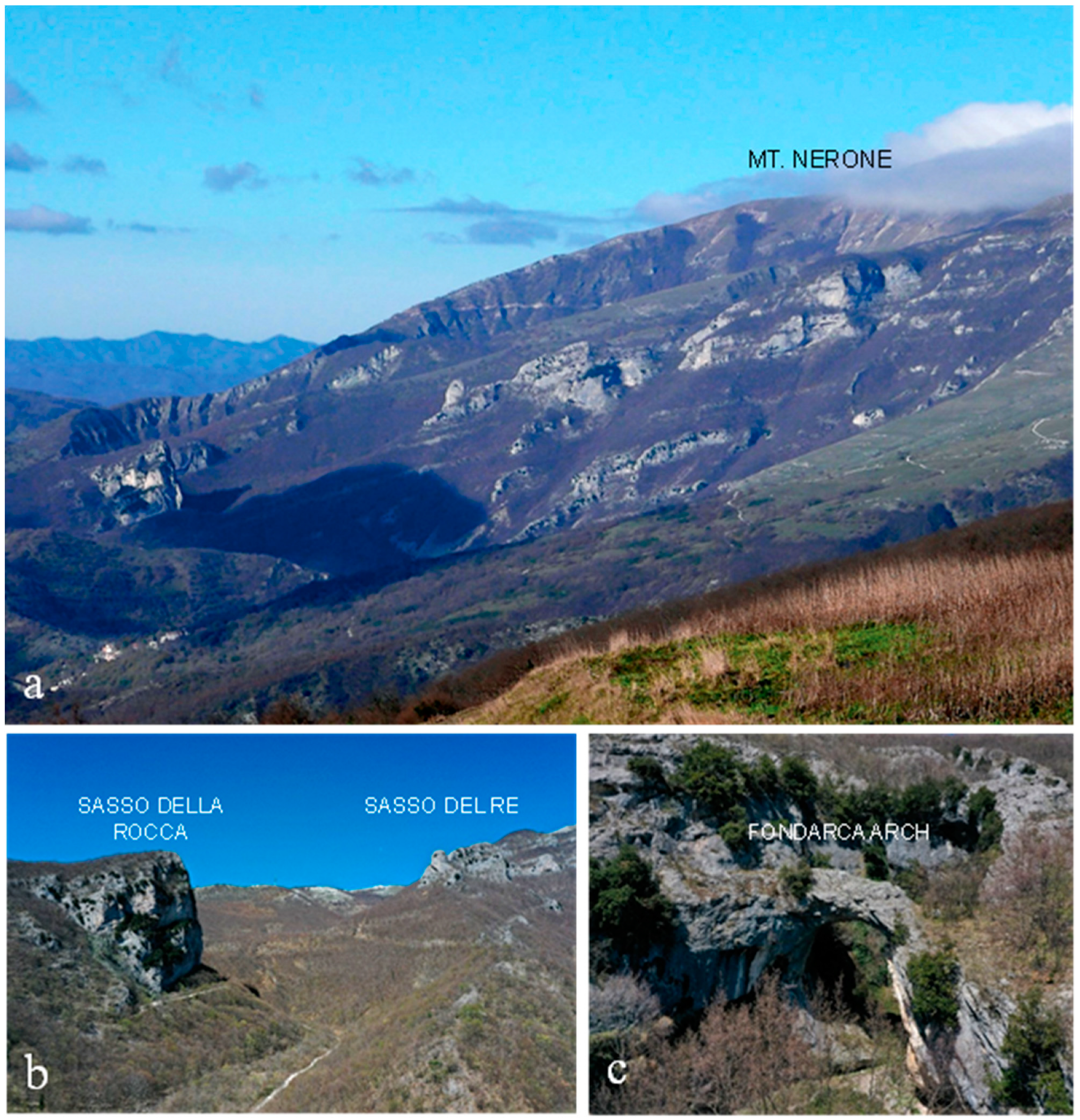 Sustainability 15 11382 g007