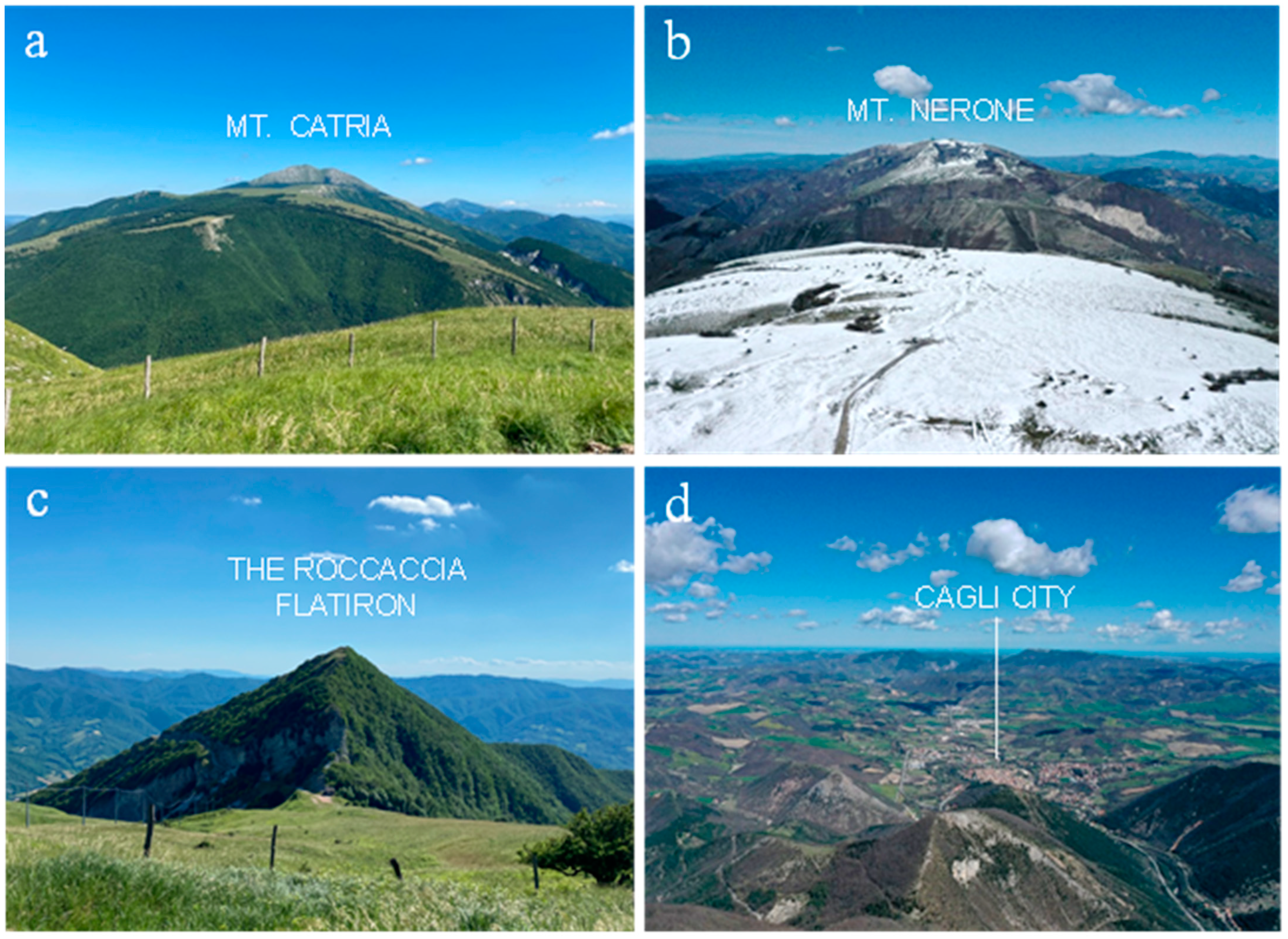 Sustainability 15 11382 g008