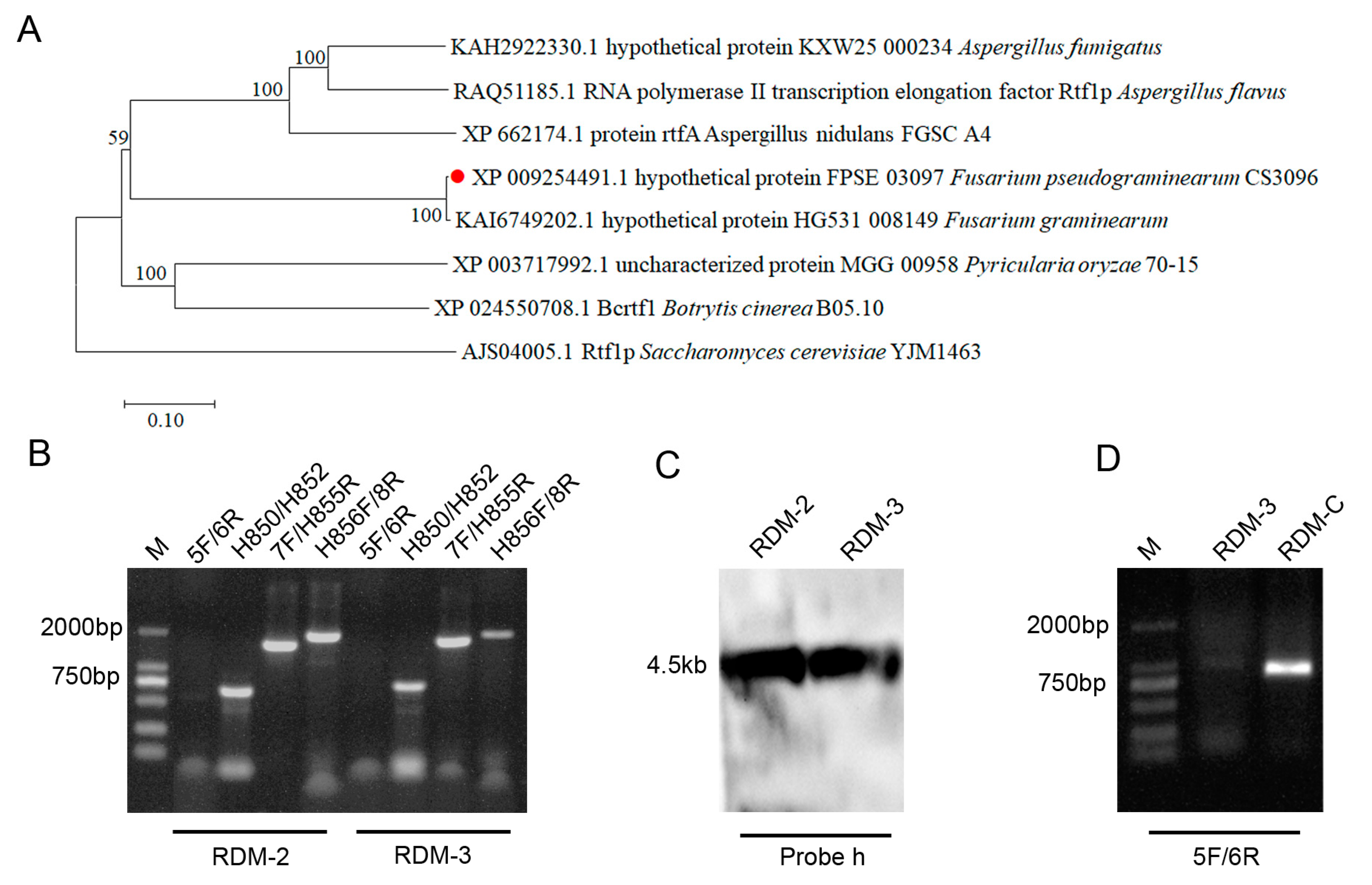 Sustainability 15 11401 g001