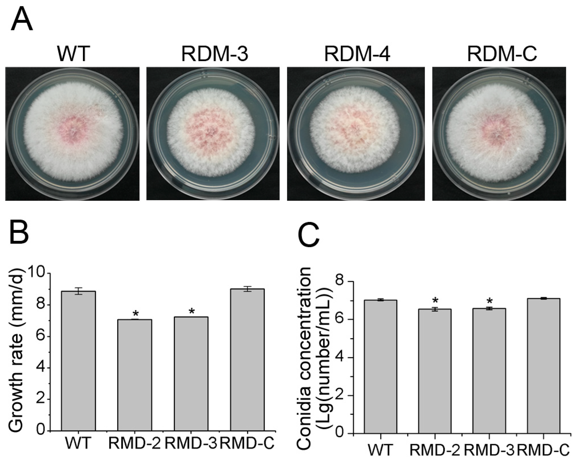 Sustainability 15 11401 g002