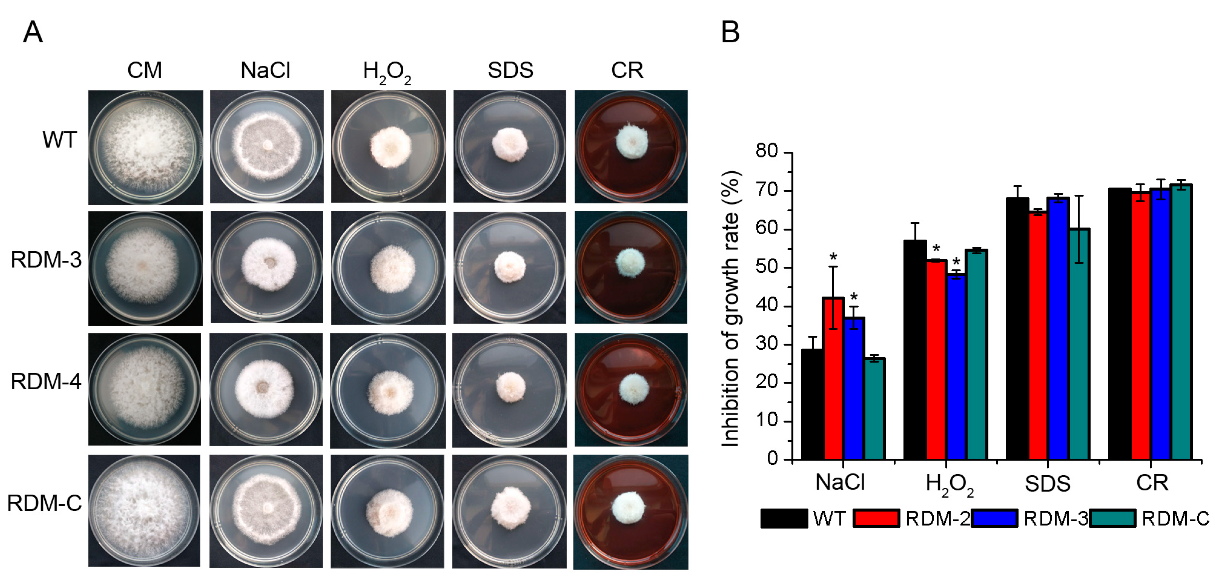 Sustainability 15 11401 g003