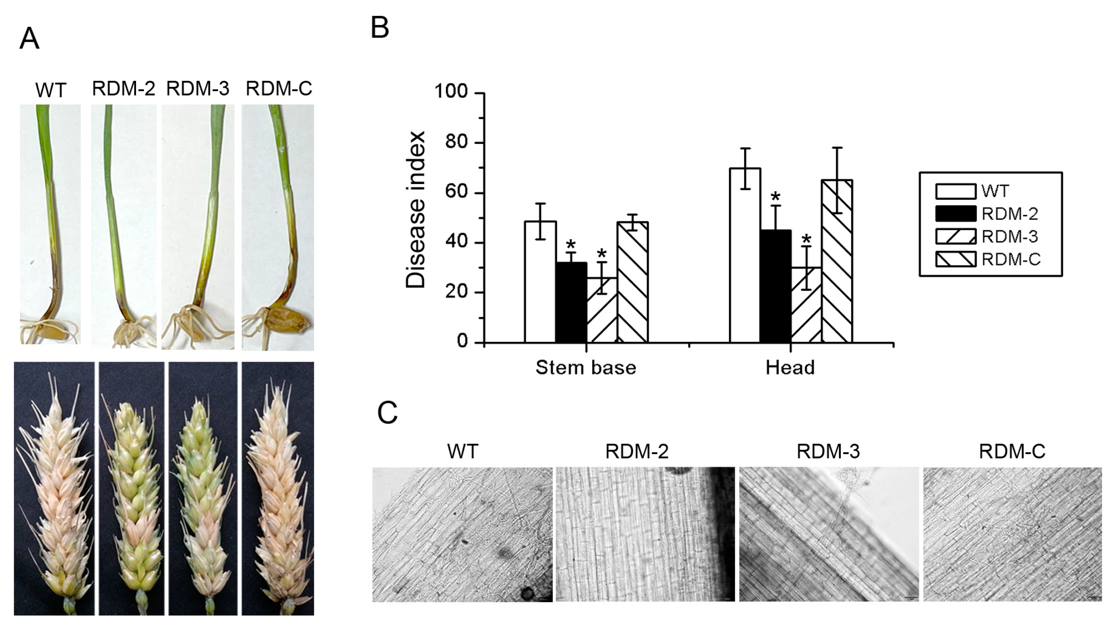 Sustainability 15 11401 g004