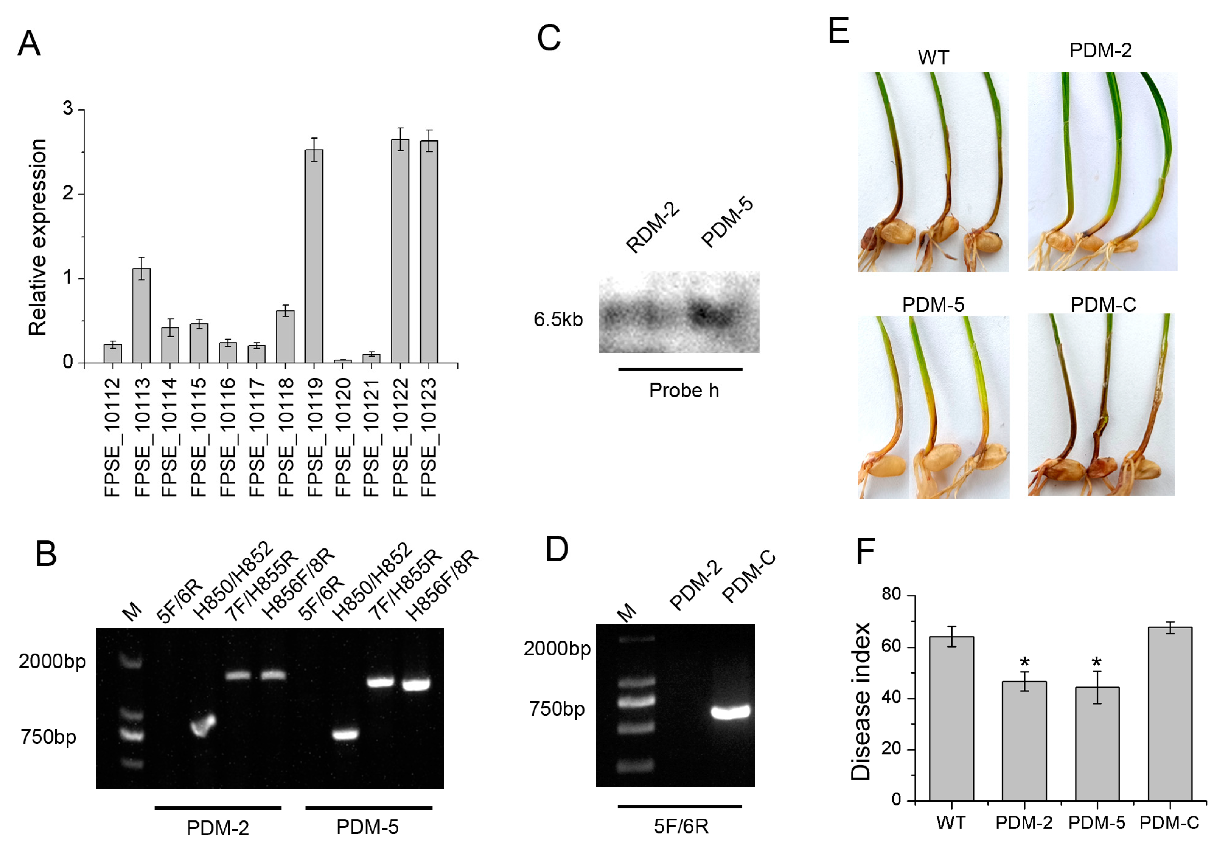 Sustainability 15 11401 g006