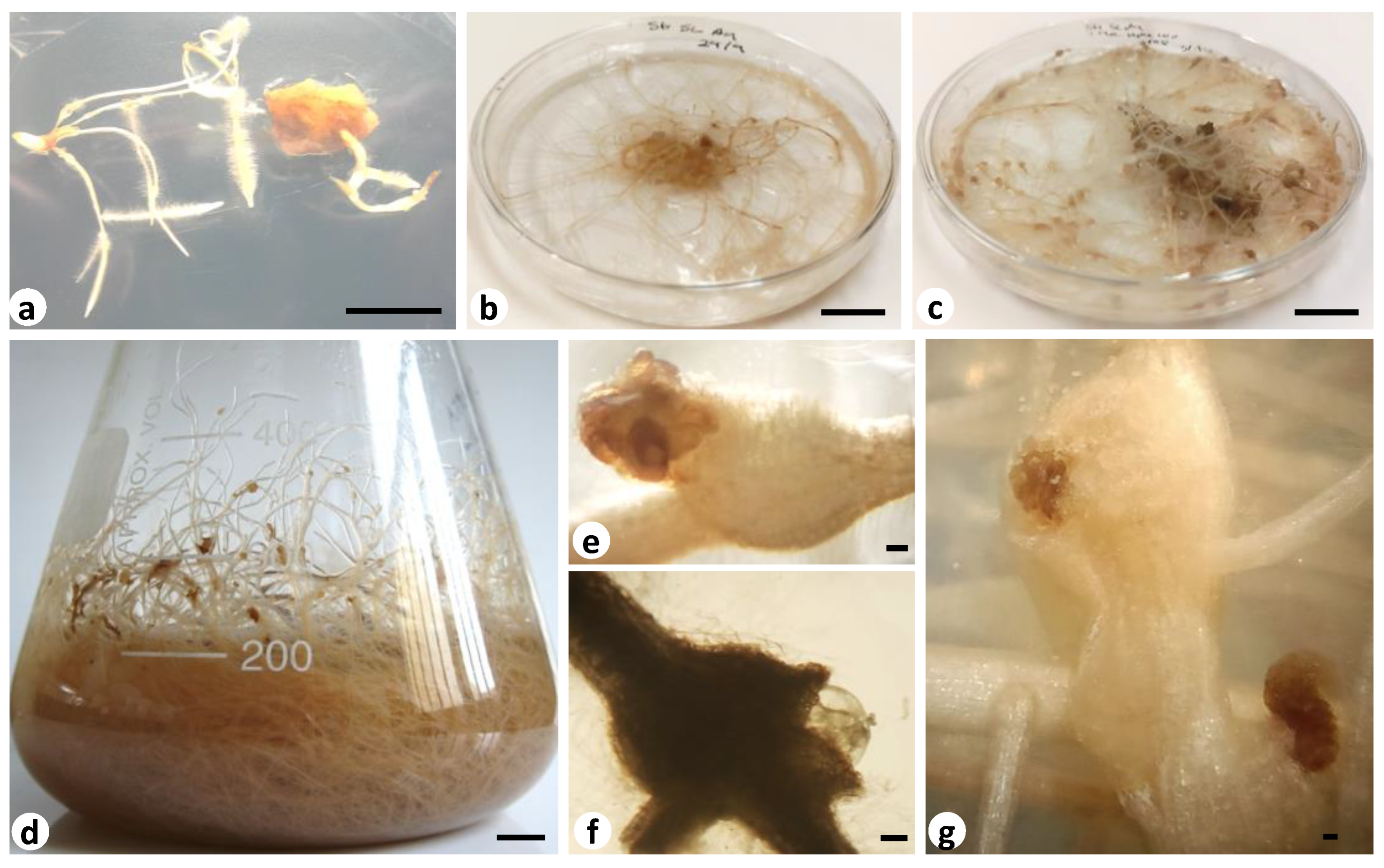 Sustainability 15 11421 g002 Sustainability 15 11421 g002