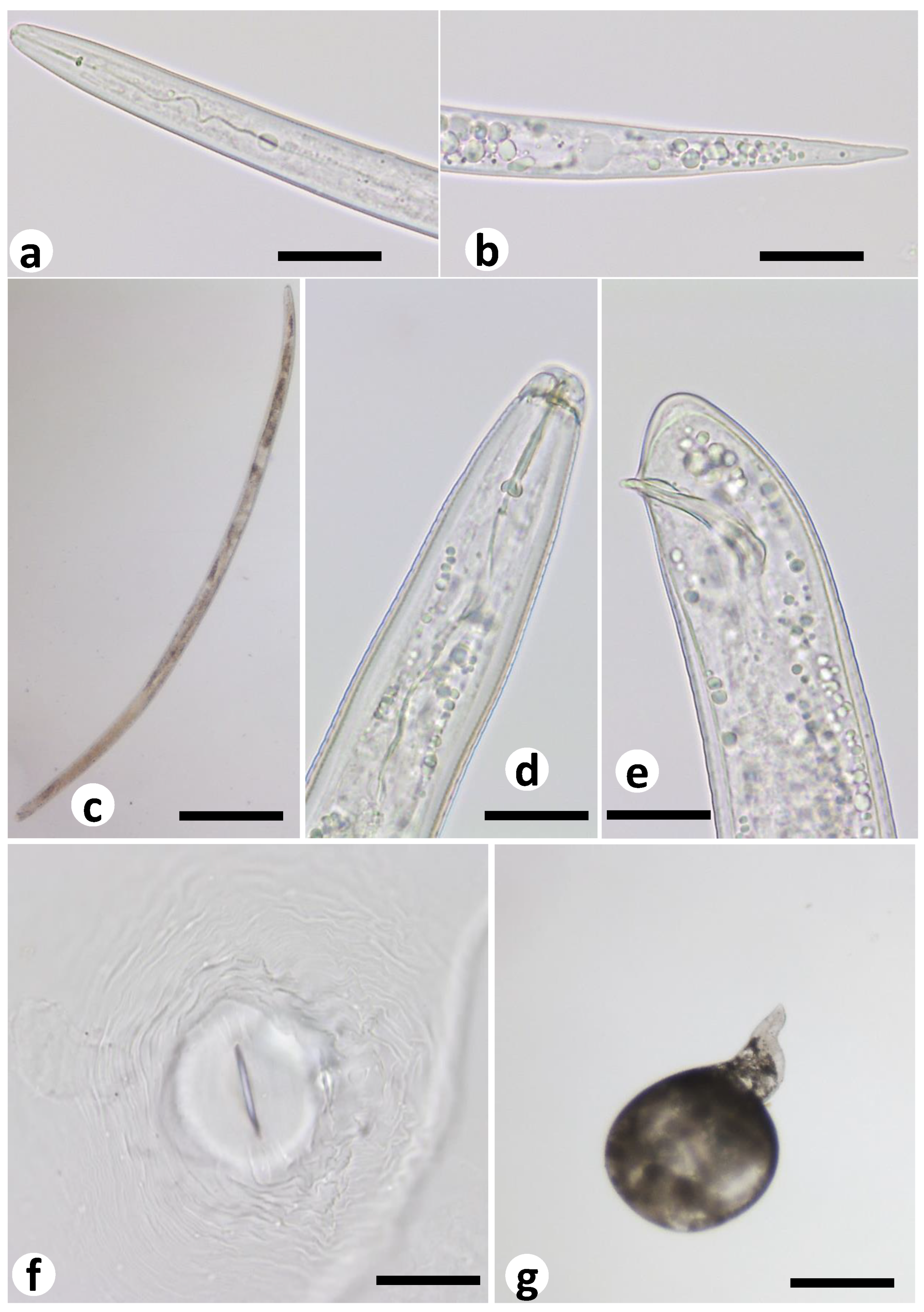 Sustainability 15 11421 g003 Sustainability 15 11421 g003