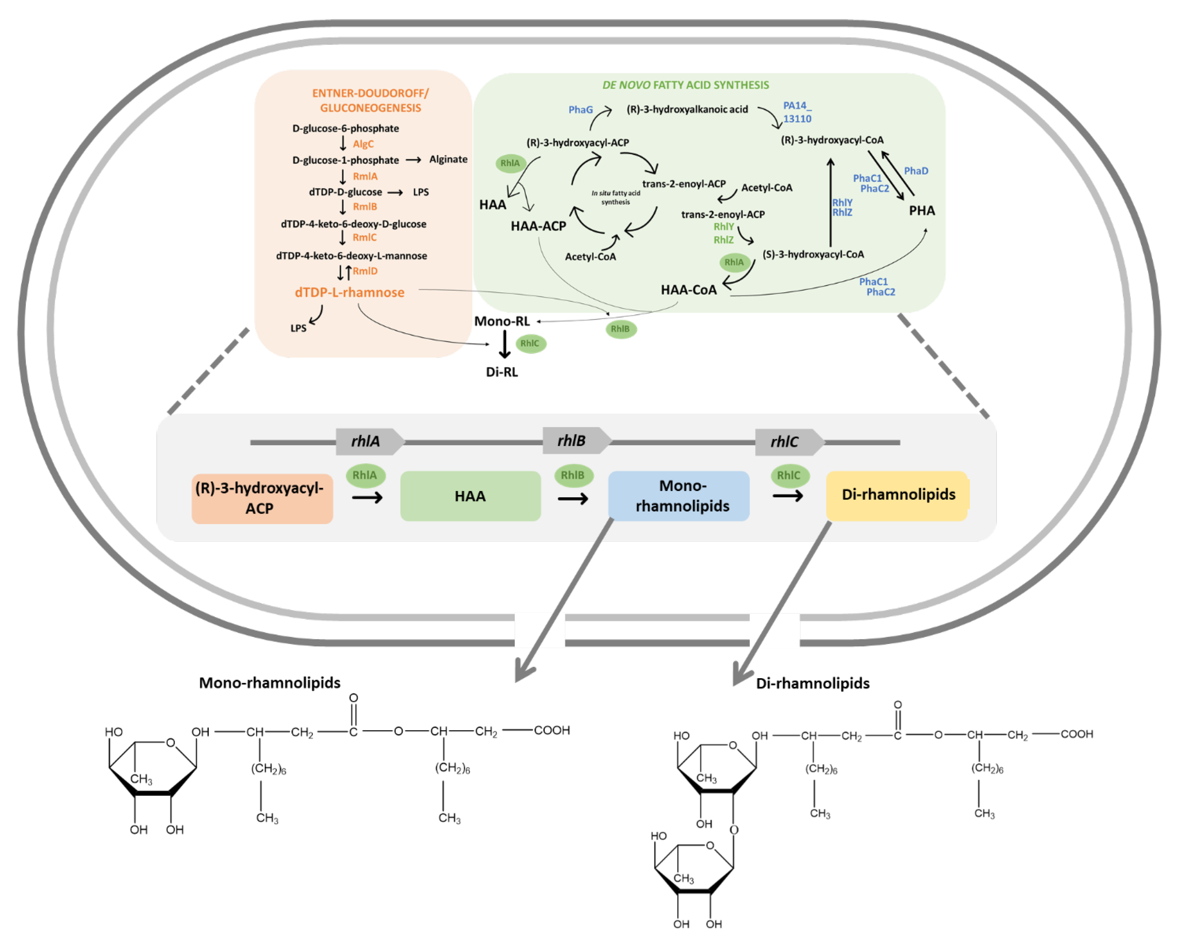 Sustainability 15 11436 g005 Sustainability 15 11436 g005