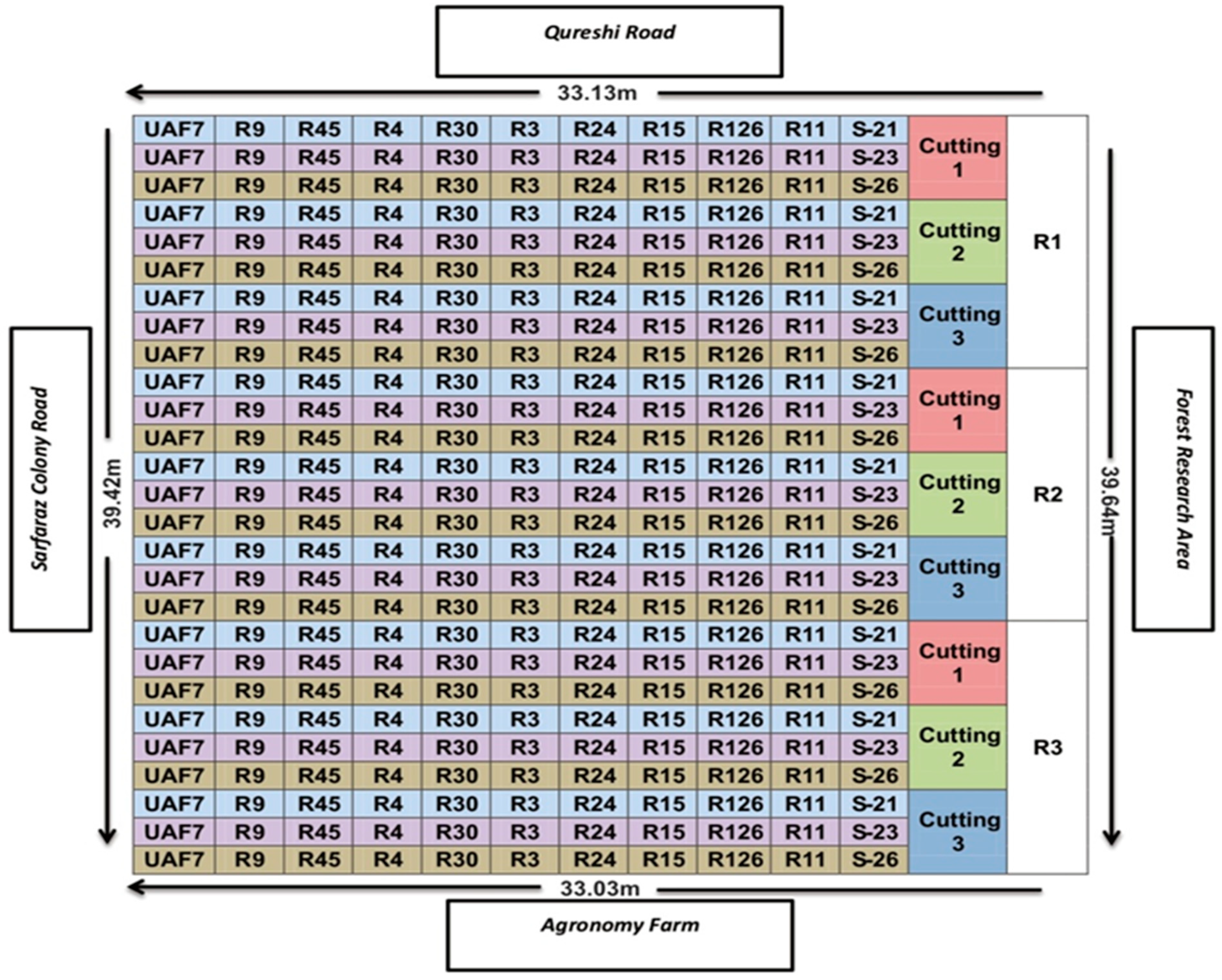 Sustainability 15 11446 g001 Sustainability 15 11446 g001