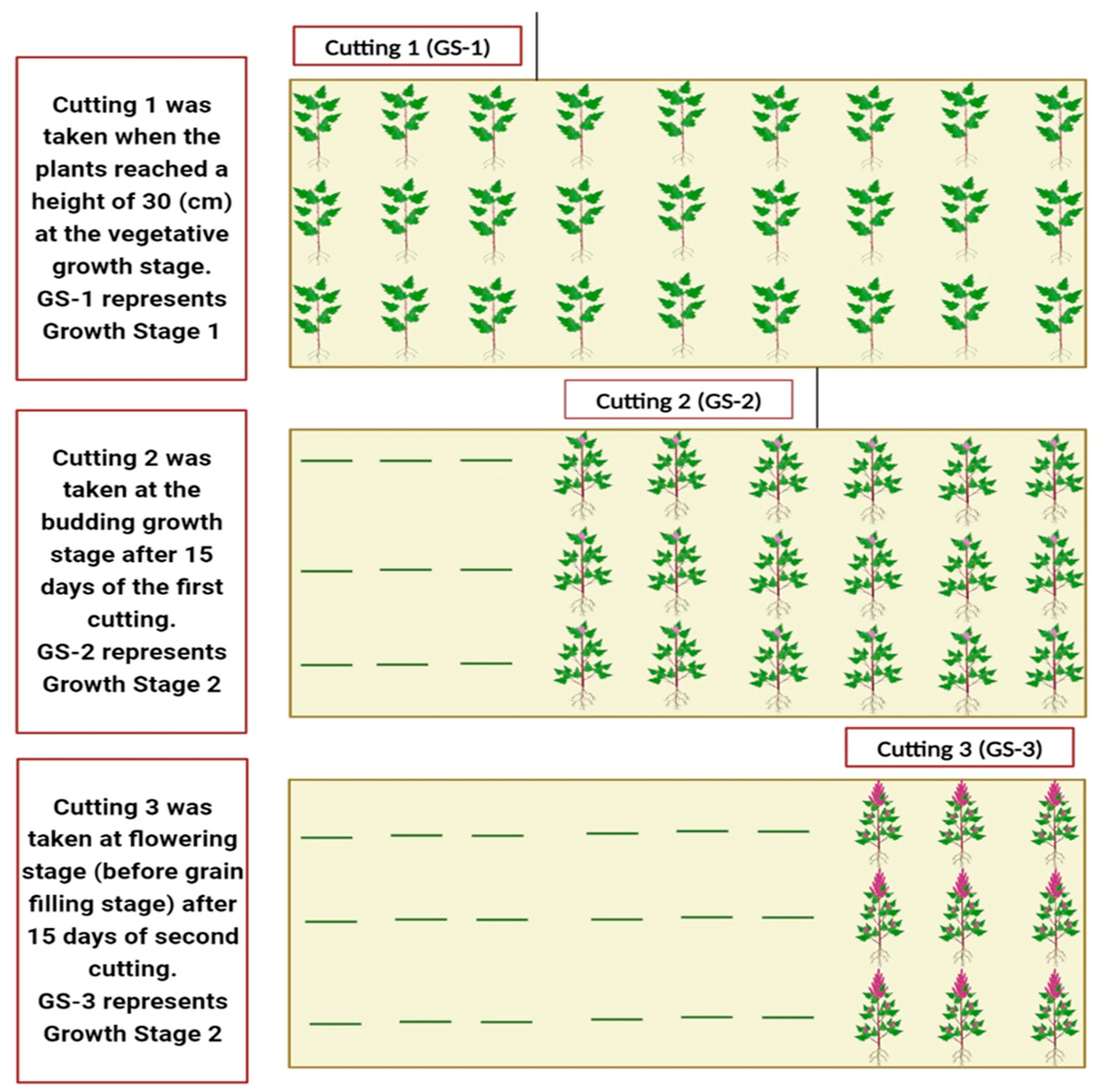 Sustainability 15 11446 g002 Sustainability 15 11446 g002
