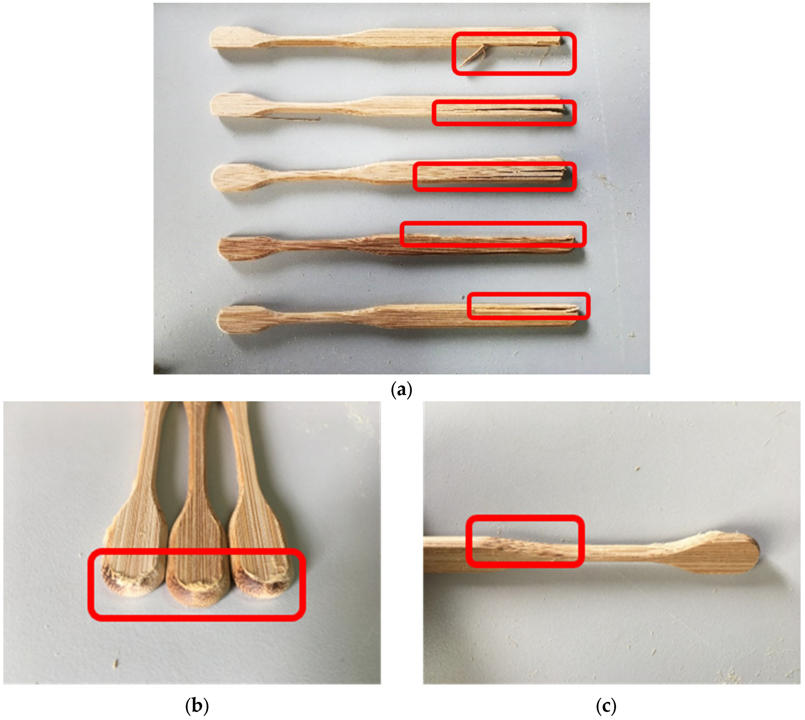 Sustainability 15 11459 g002