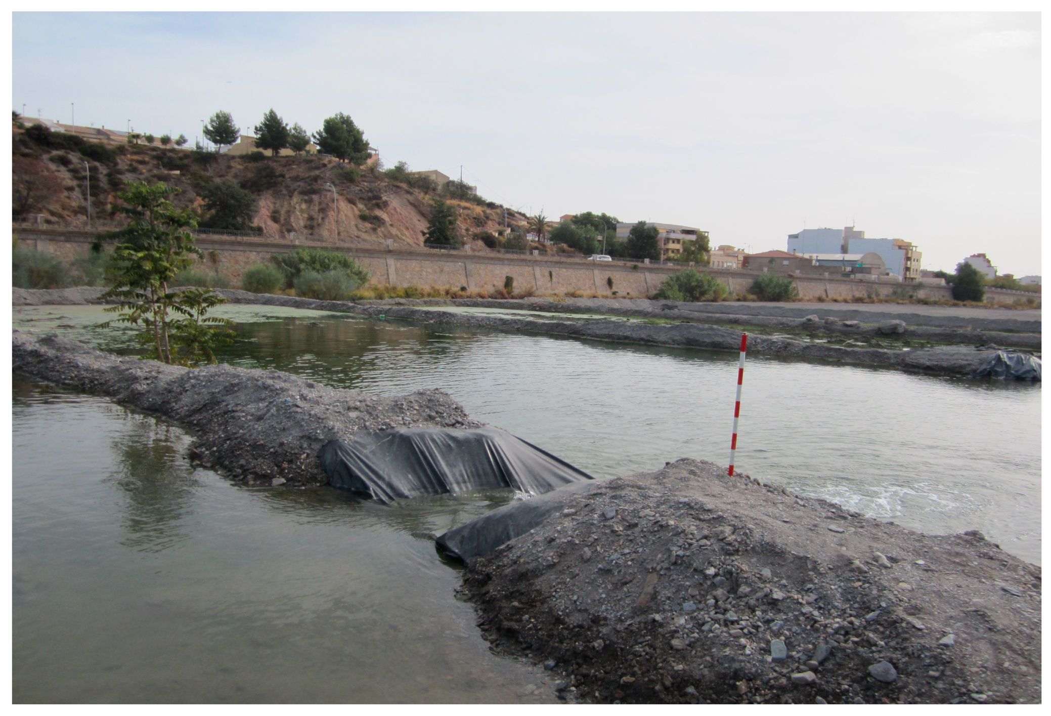 Sustainability 15 11515 g005