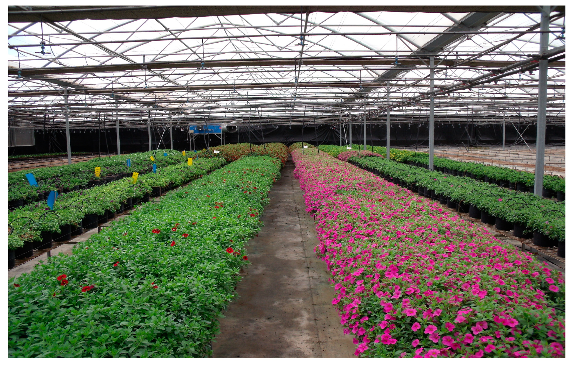 Sustainability 15 11515 g006