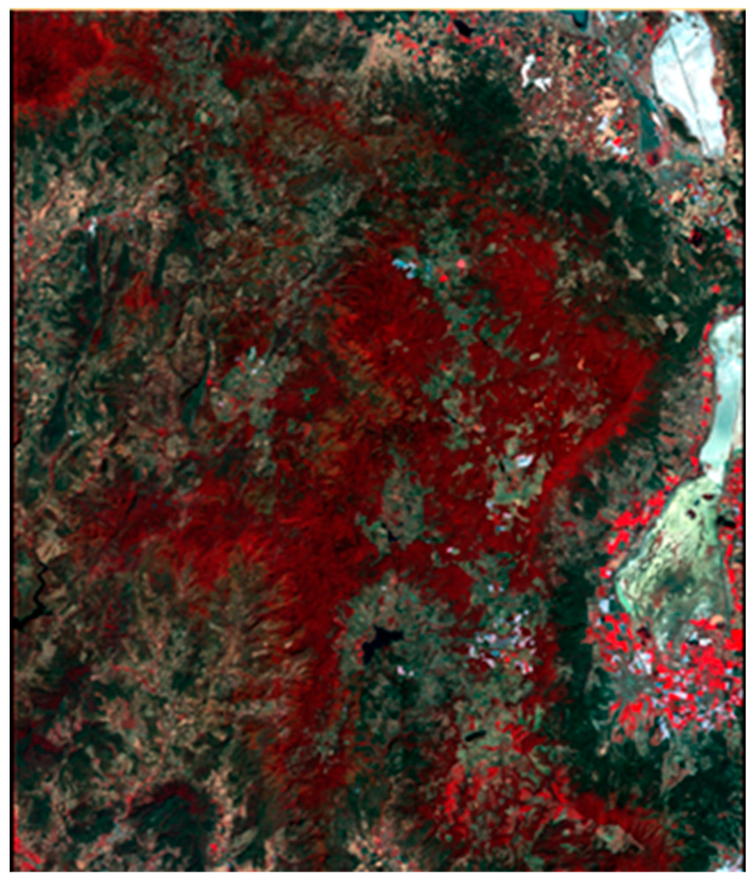 Sustainability 15 11531 g001 Sustainability 15 11531 g001