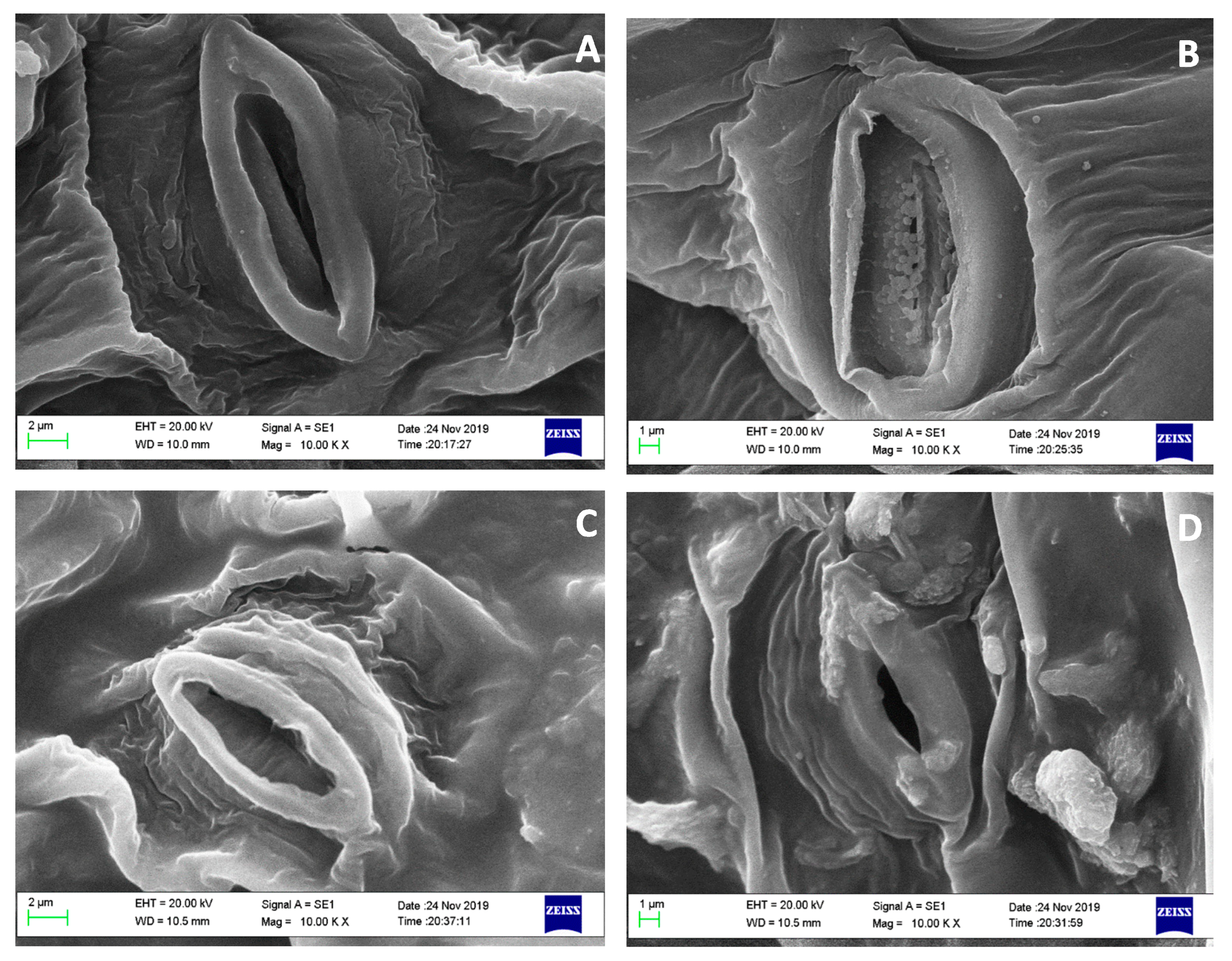 Sustainability 15 11590 g002