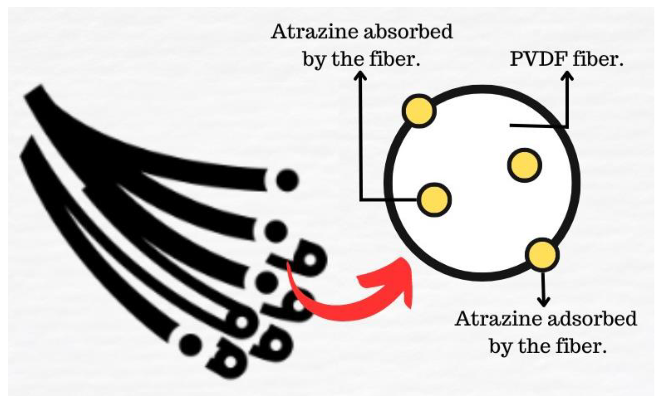 Sustainability 15 11729 g001 Sustainability 15 11729 g001