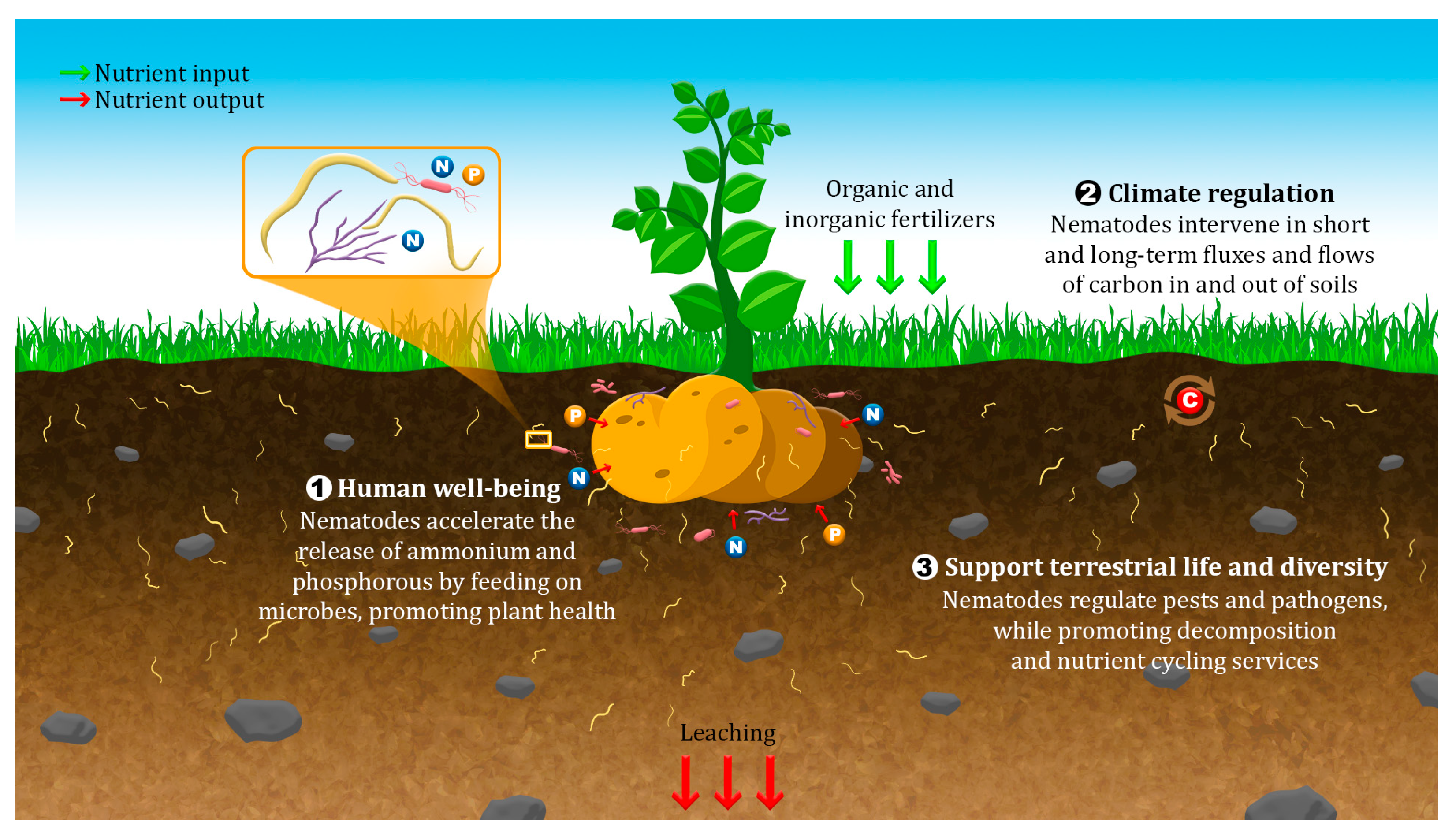 Sustainability 15 11747 g001