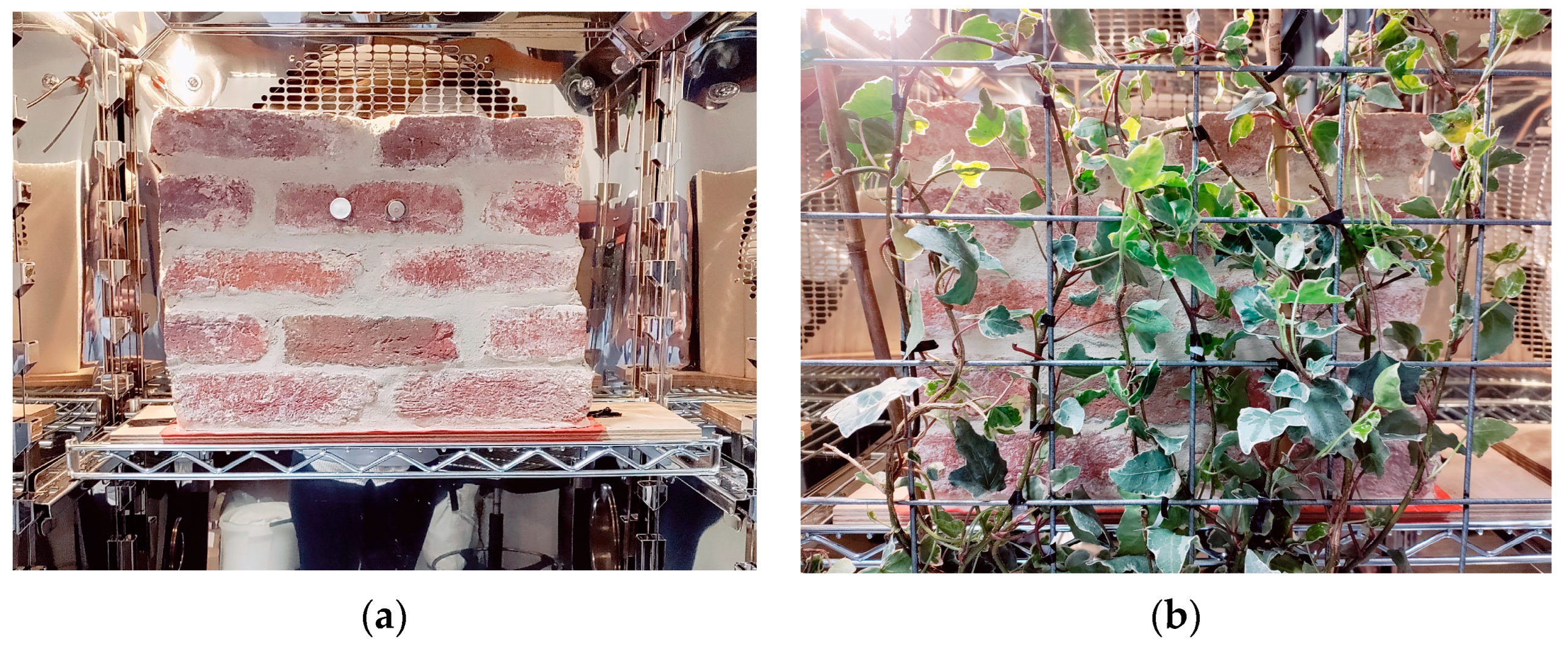 Sustainability 15 11758 g001