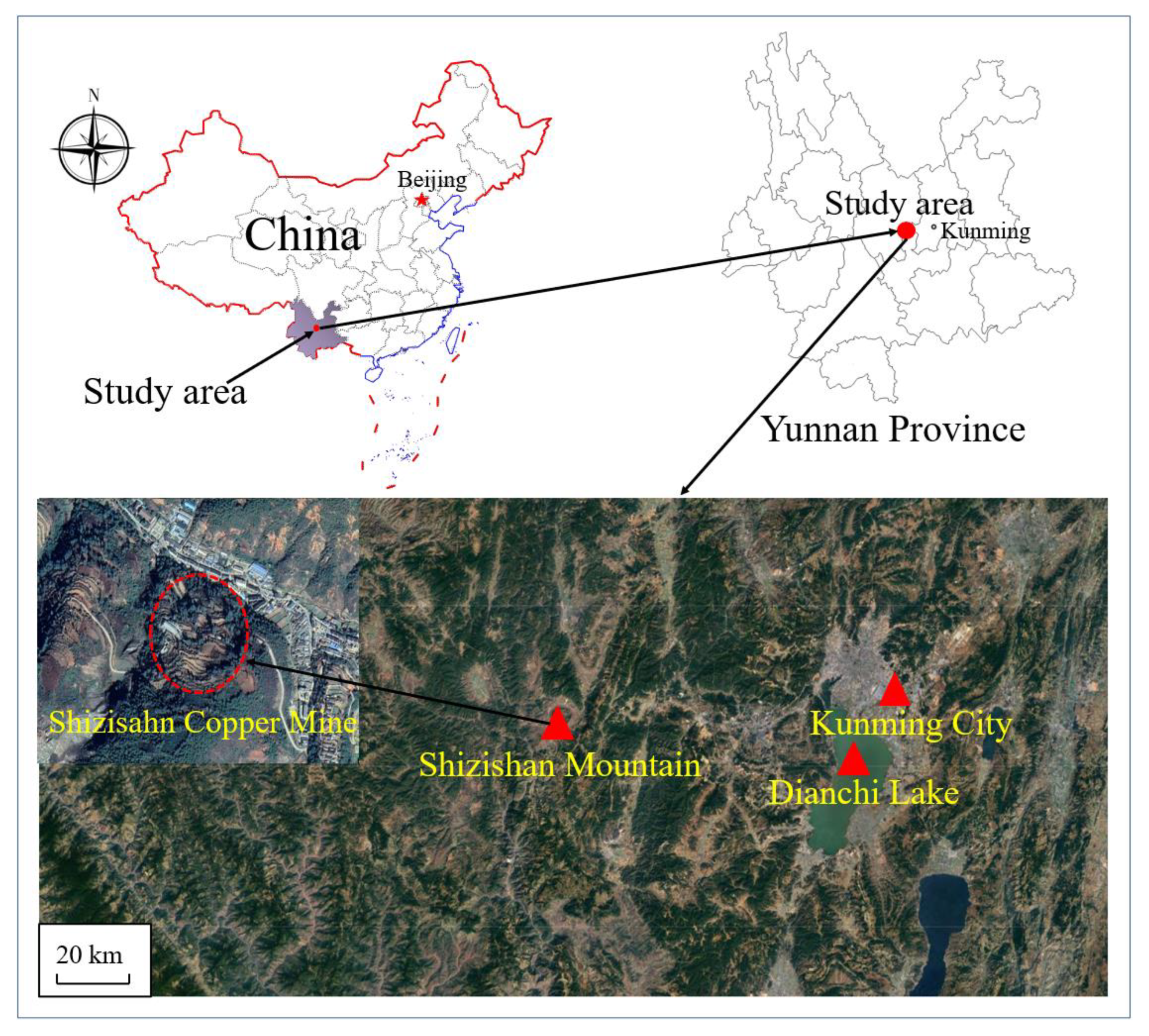 Sustainability 15 11815 g001