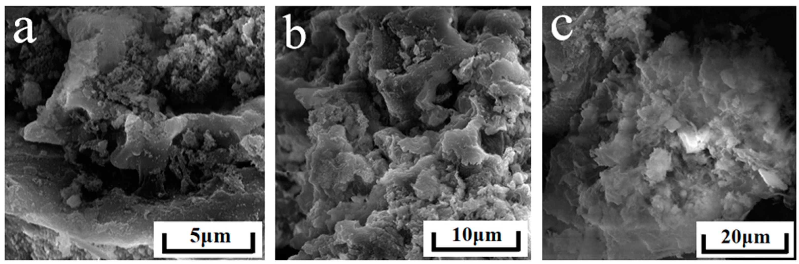 Sustainability 15 11867 g001