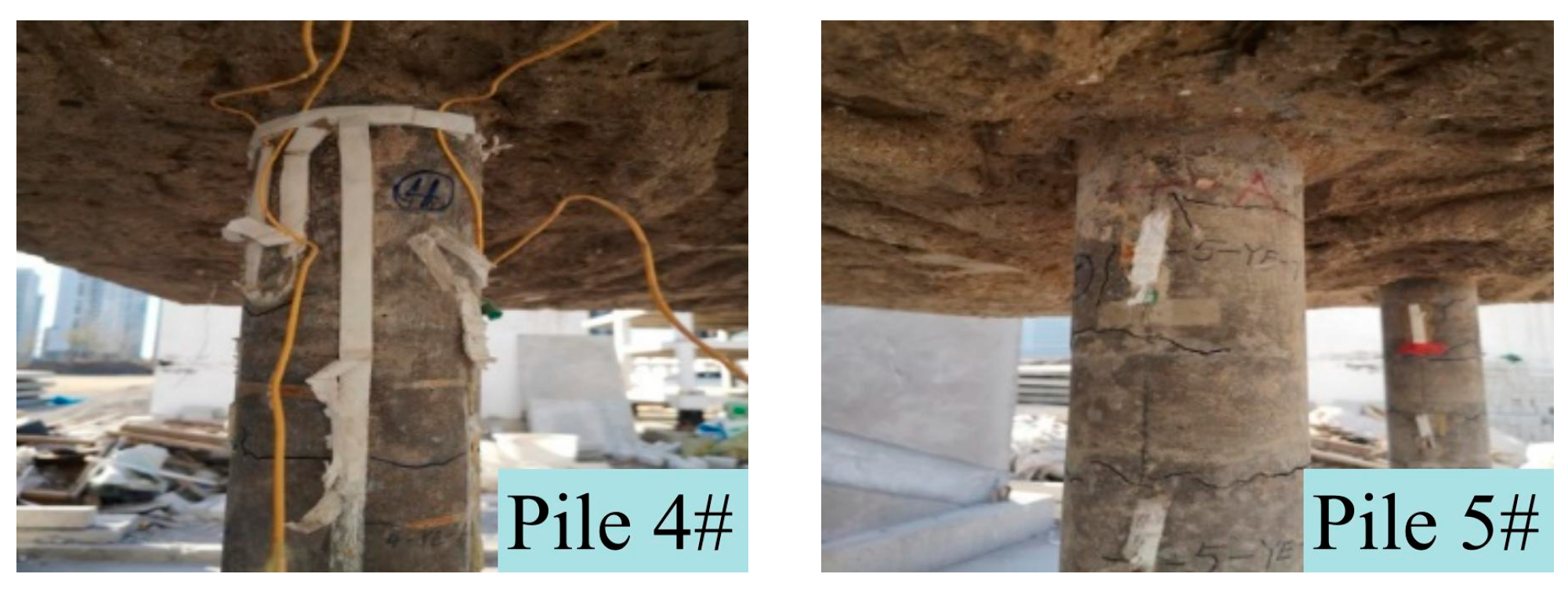 Sustainability 15 11988 g008b